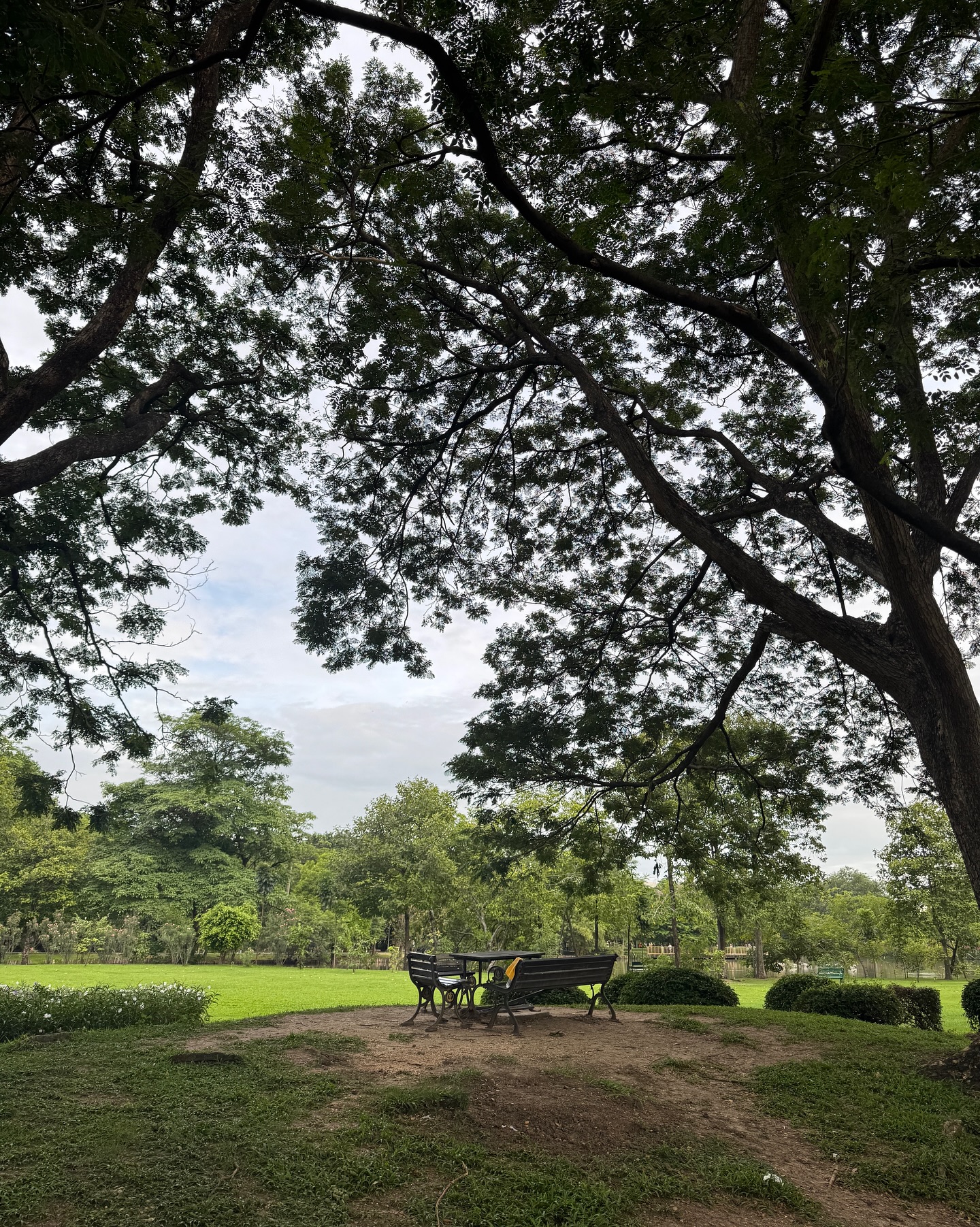เต้ย - พงศกร เมตตาริกานนท์