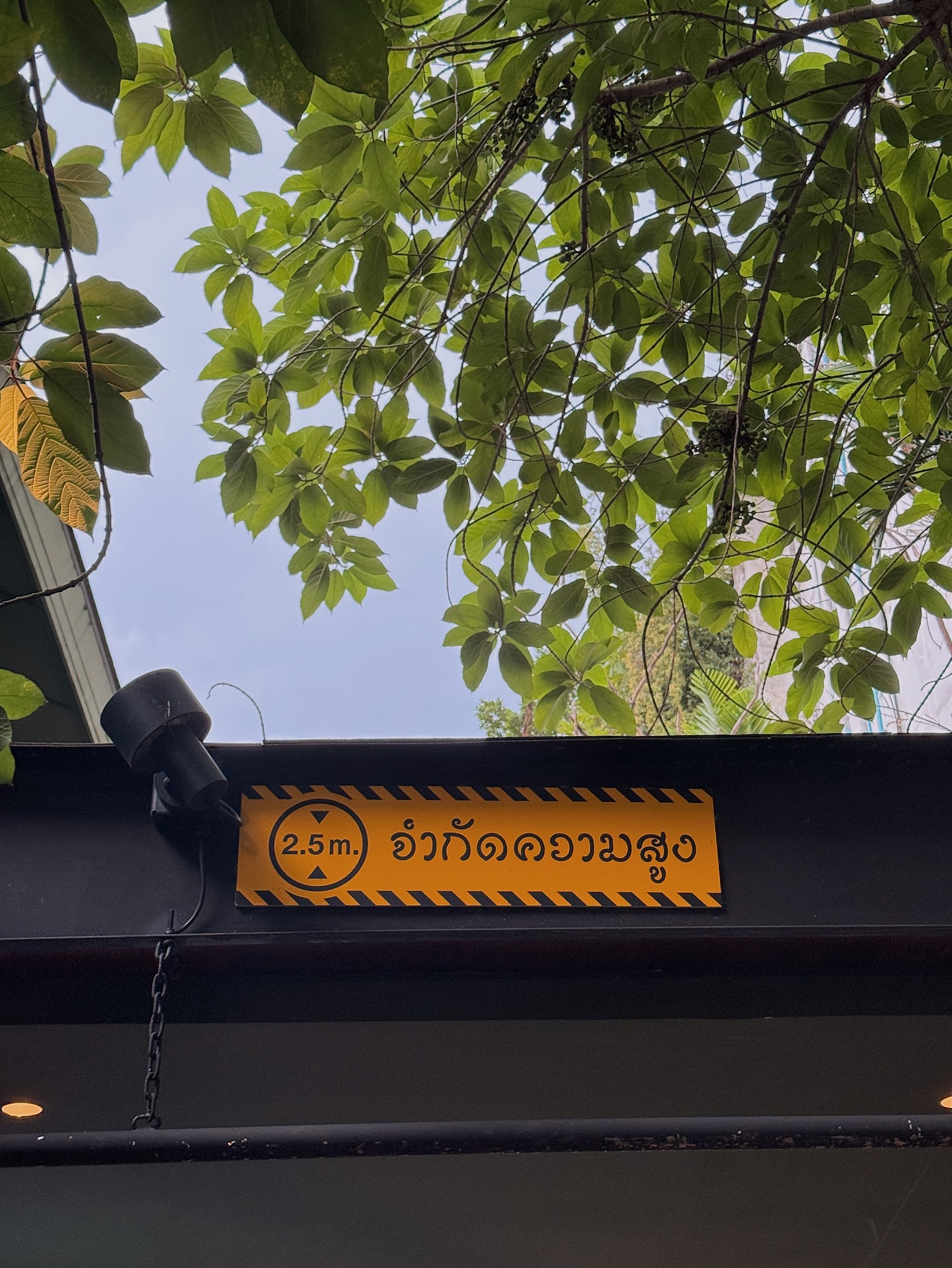 เต้ย - พงศกร เมตตาริกานนท์