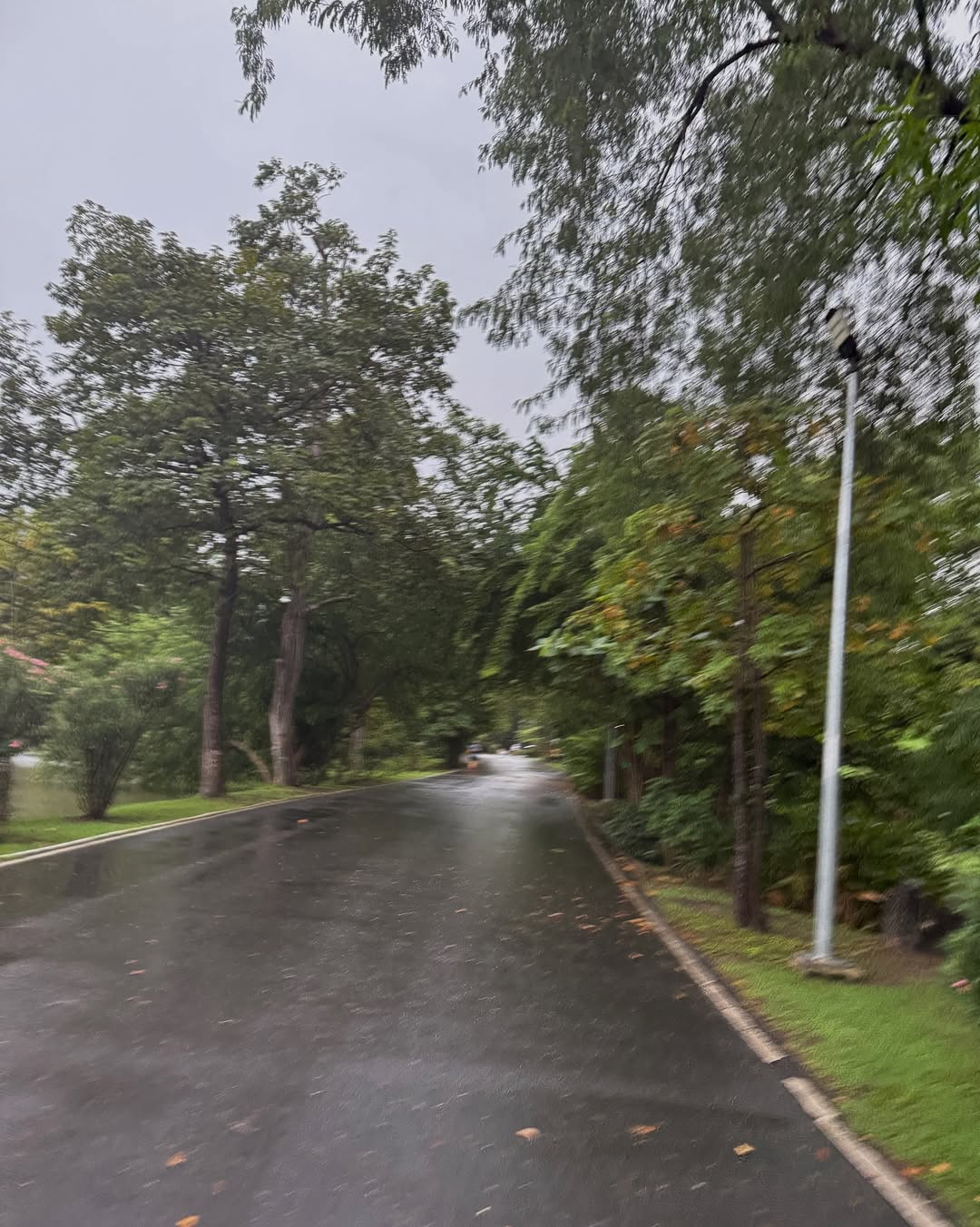 เต้ย - พงศกร เมตตาริกานนท์