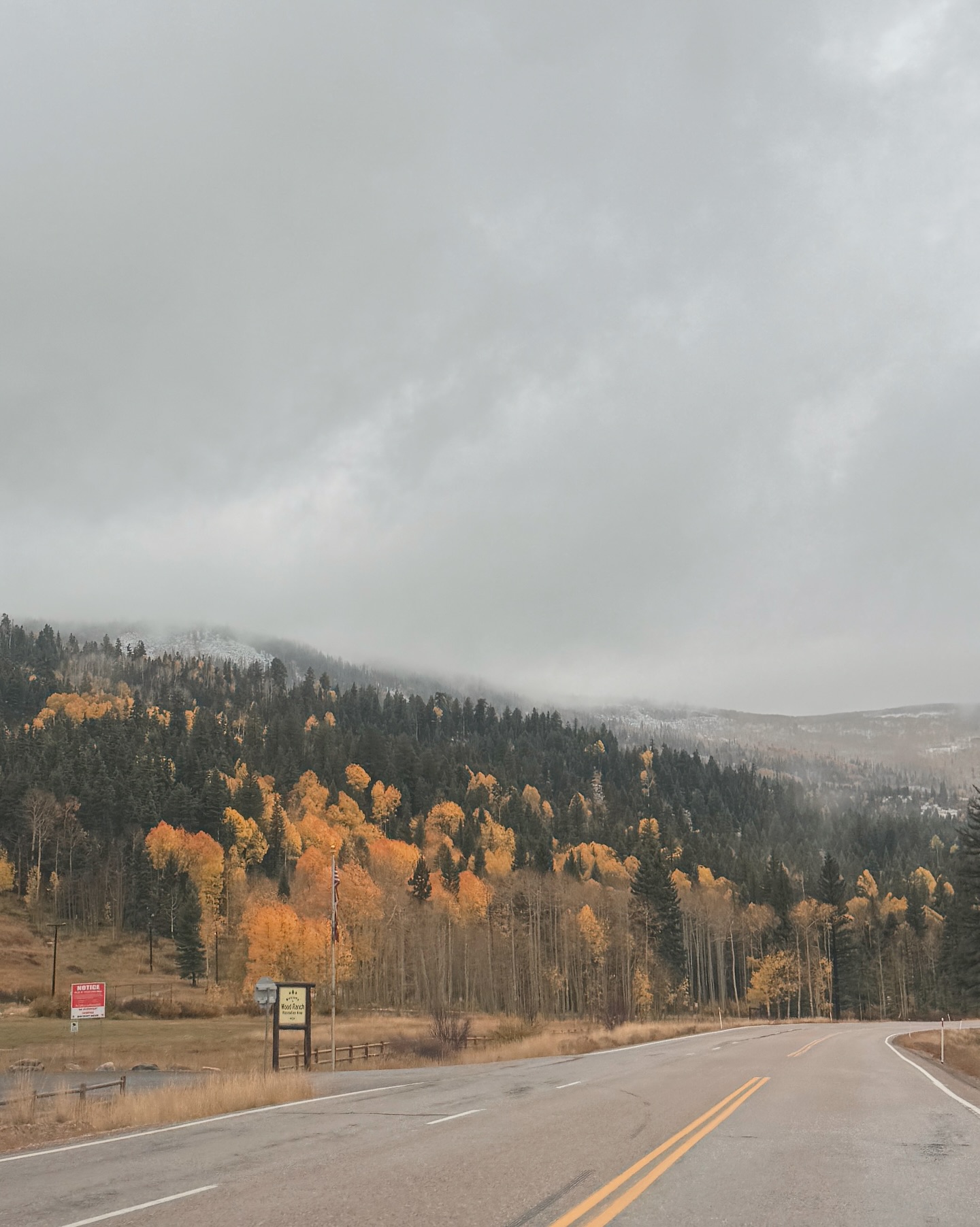 เต้ย - พงศกร เมตตาริกานนท์