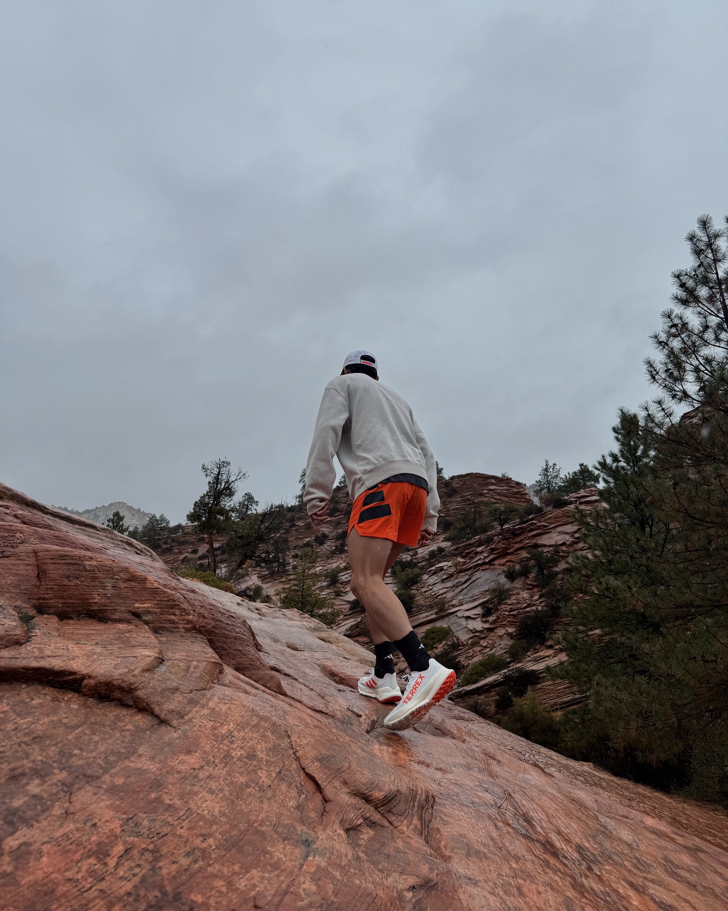 เต้ย - พงศกร เมตตาริกานนท์