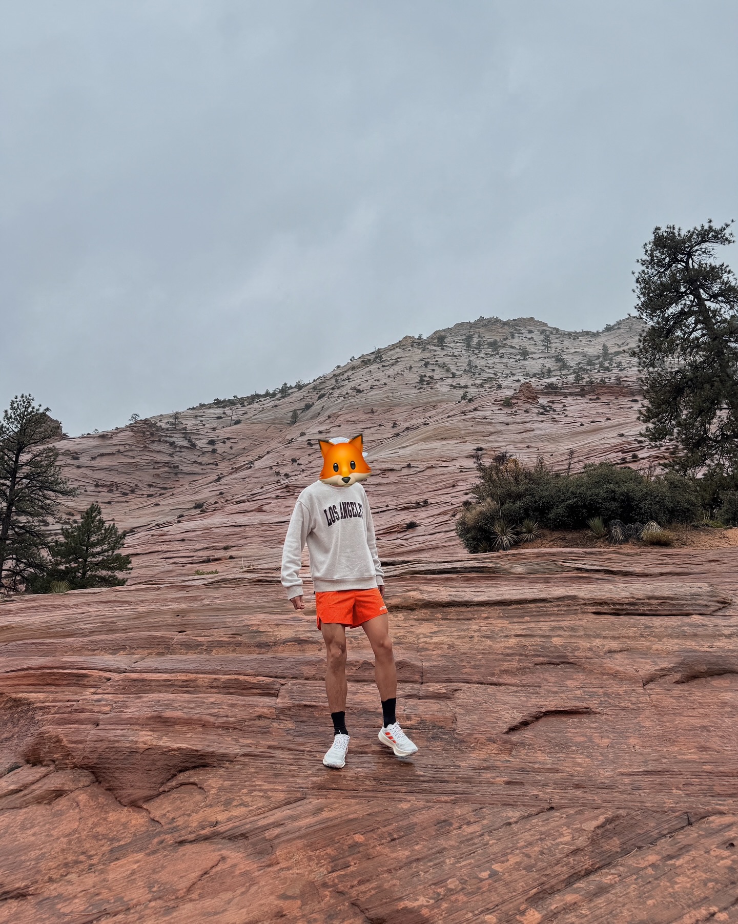 เต้ย - พงศกร เมตตาริกานนท์