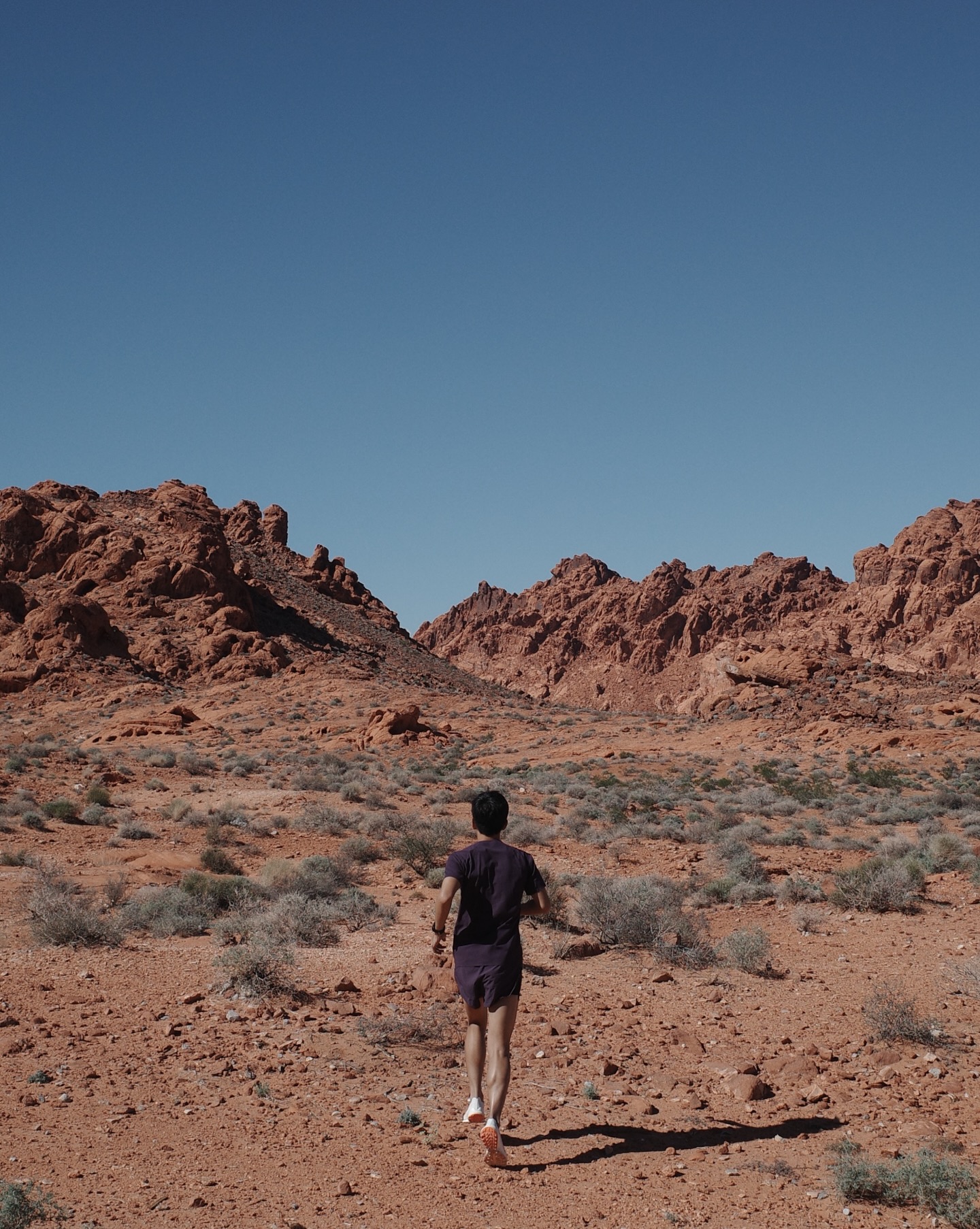 เต้ย - พงศกร เมตตาริกานนท์