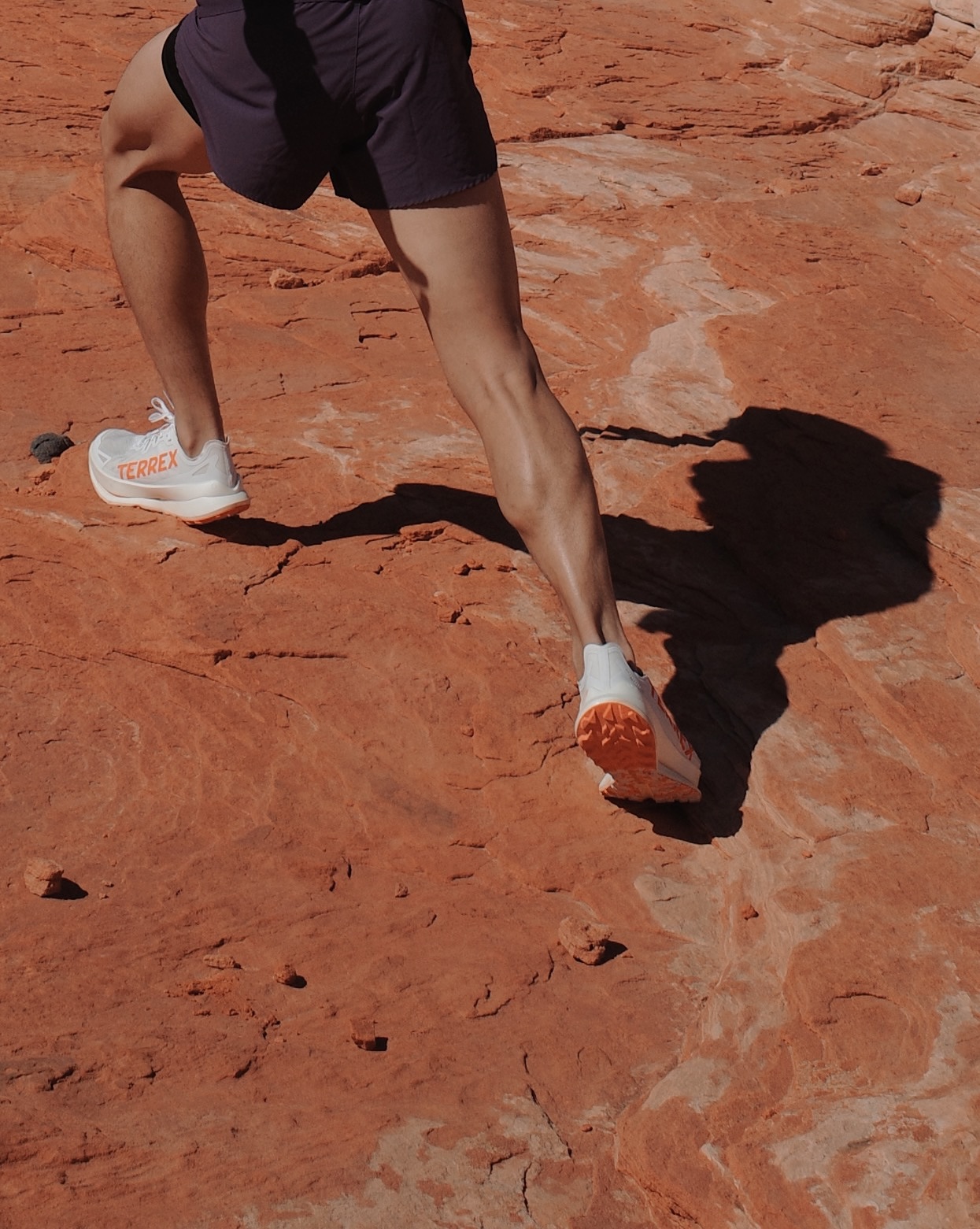 เต้ย - พงศกร เมตตาริกานนท์