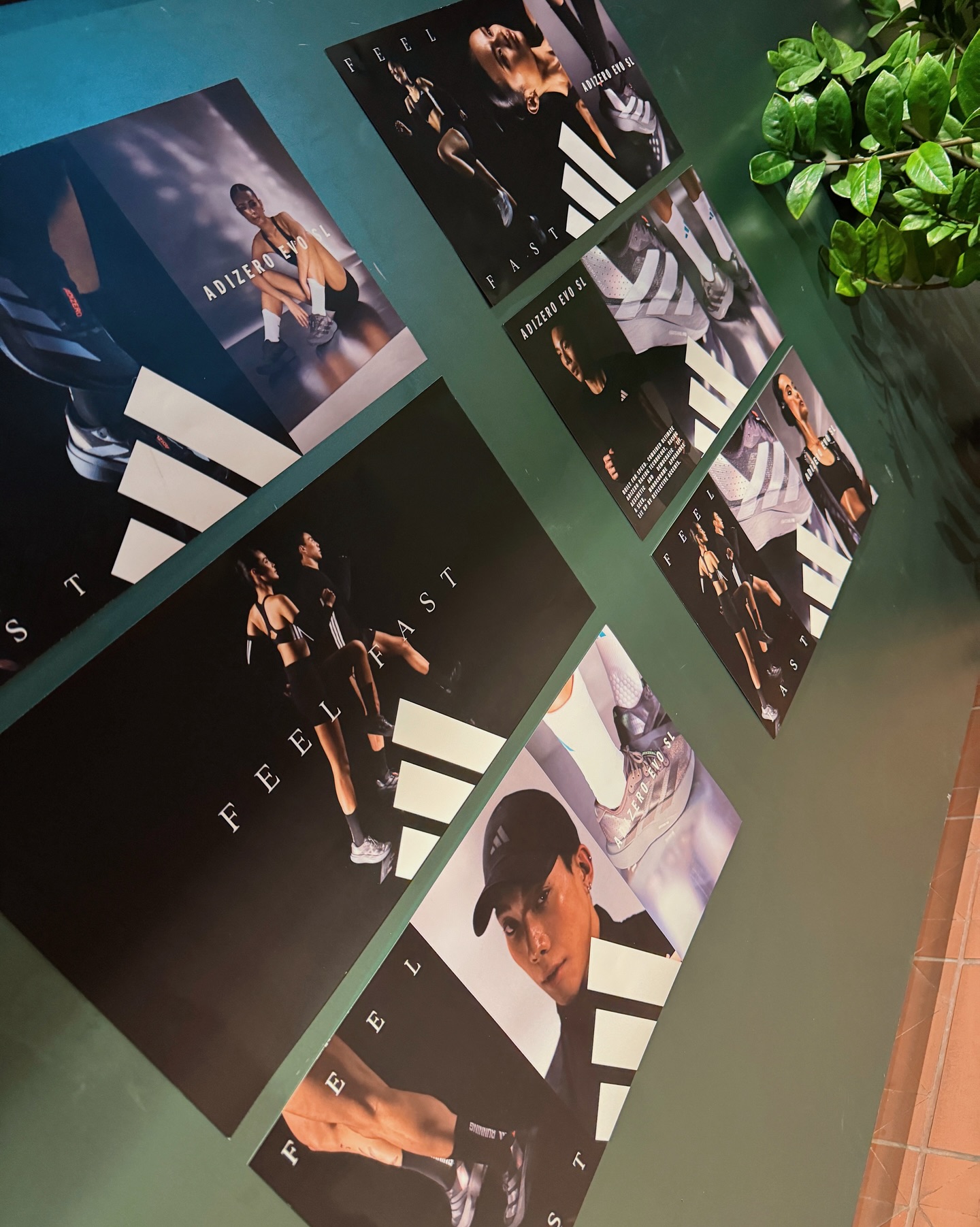 เต้ย - พงศกร เมตตาริกานนท์