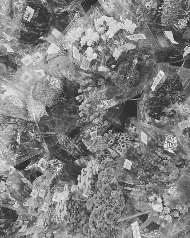 เต้ย - พงศกร เมตตาริกานนท์