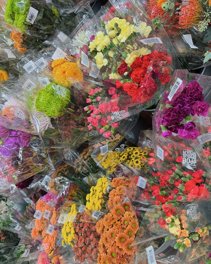 เต้ย - พงศกร เมตตาริกานนท์