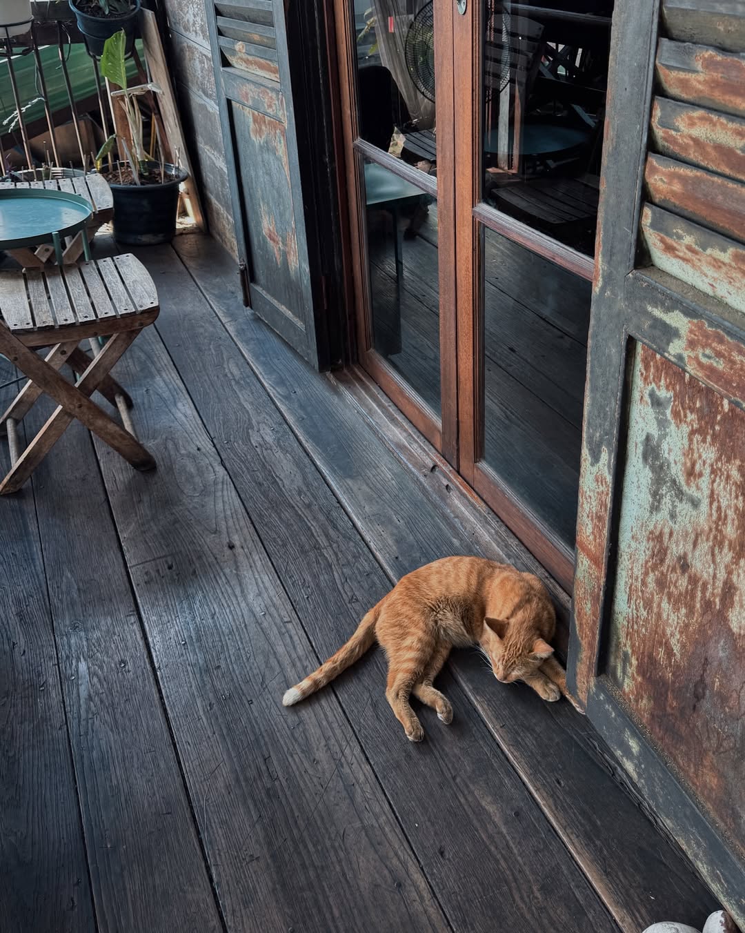 เต้ย - พงศกร เมตตาริกานนท์