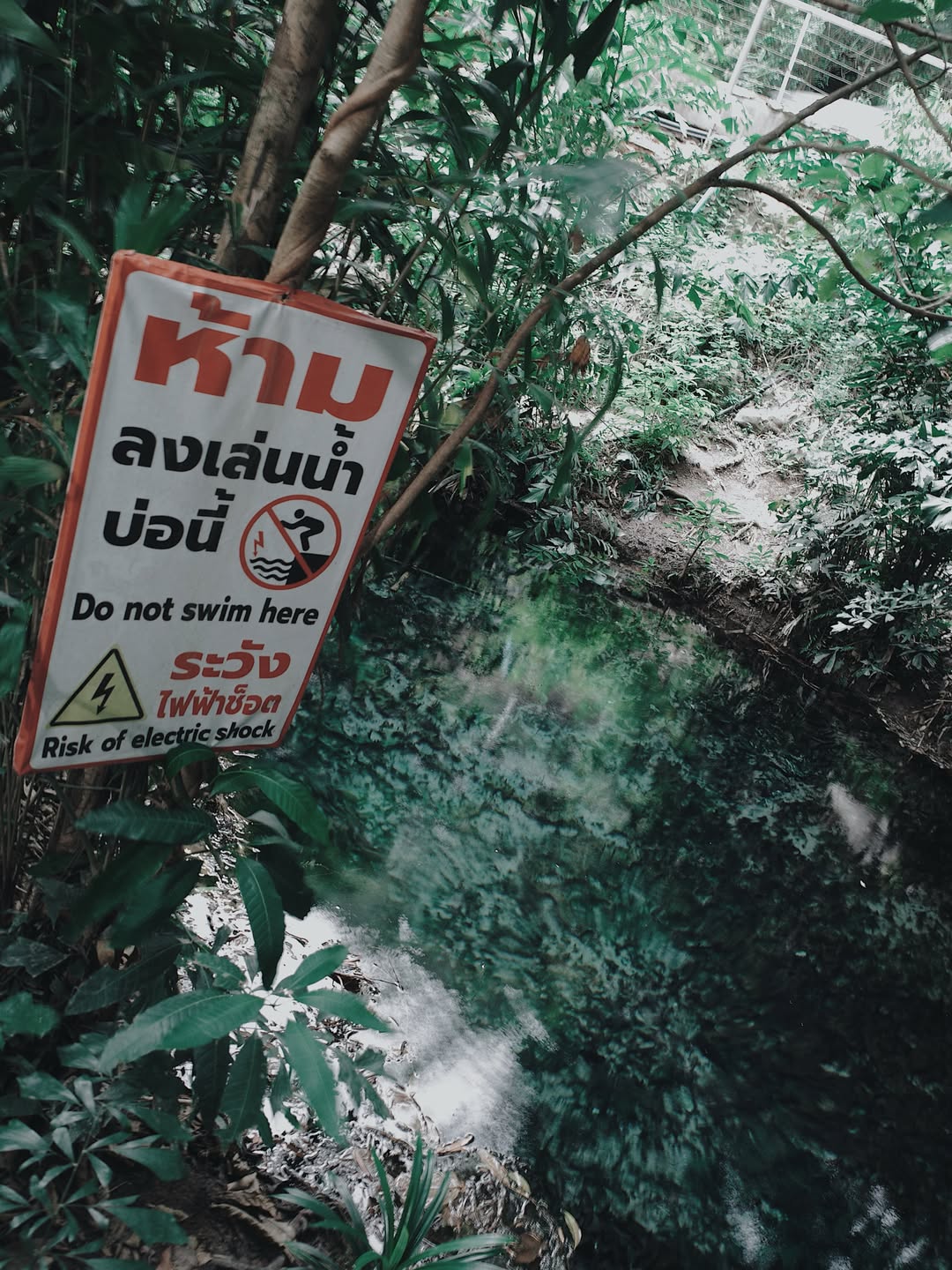 เต้ย - พงศกร เมตตาริกานนท์