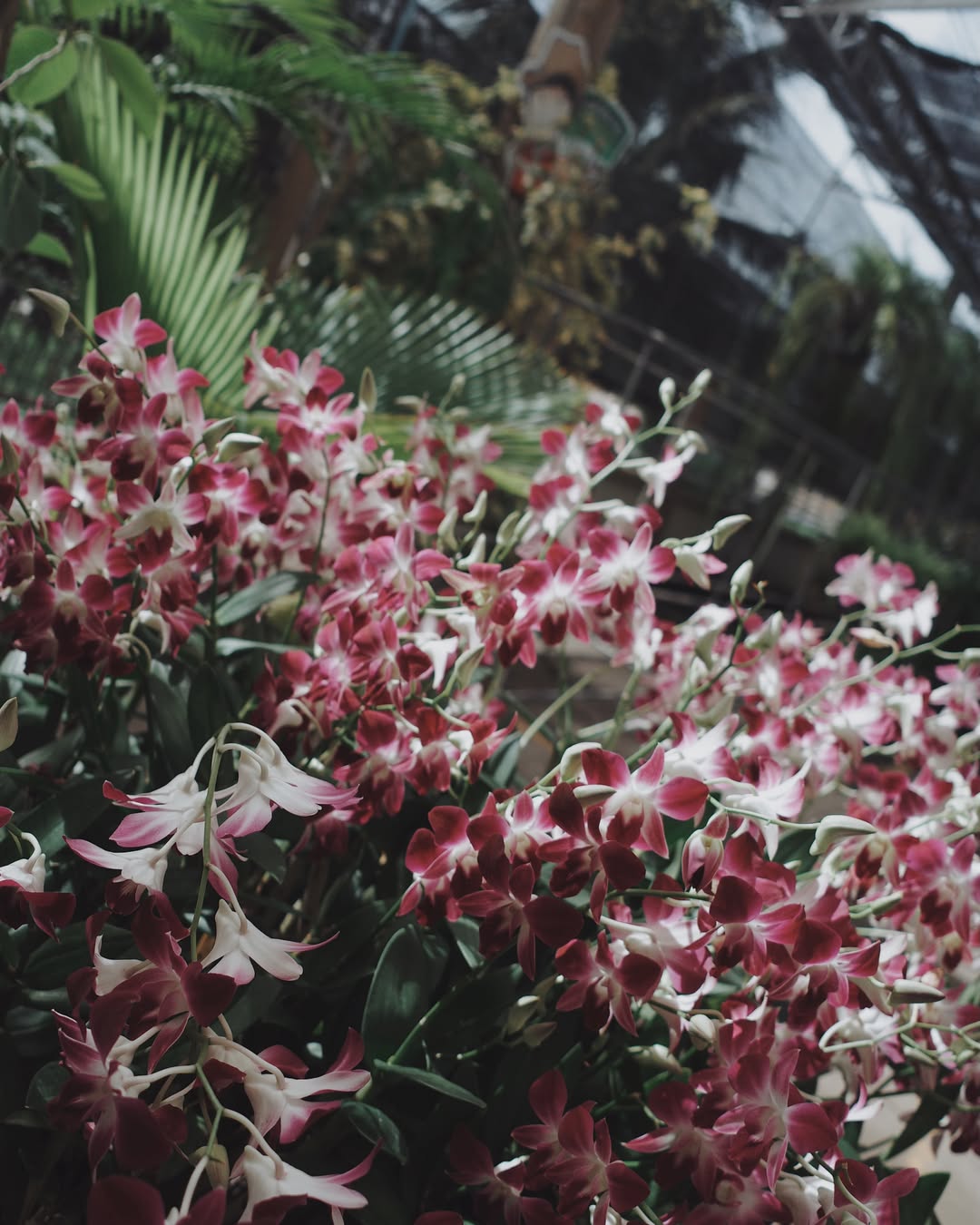เต้ย - พงศกร เมตตาริกานนท์