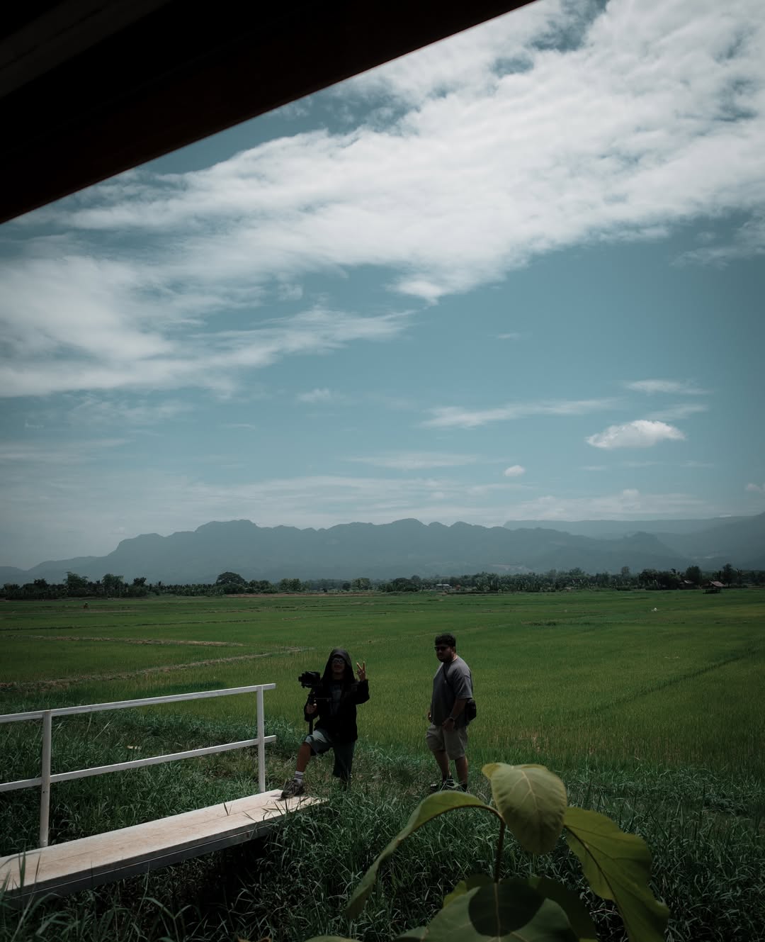 เต้ย - พงศกร เมตตาริกานนท์