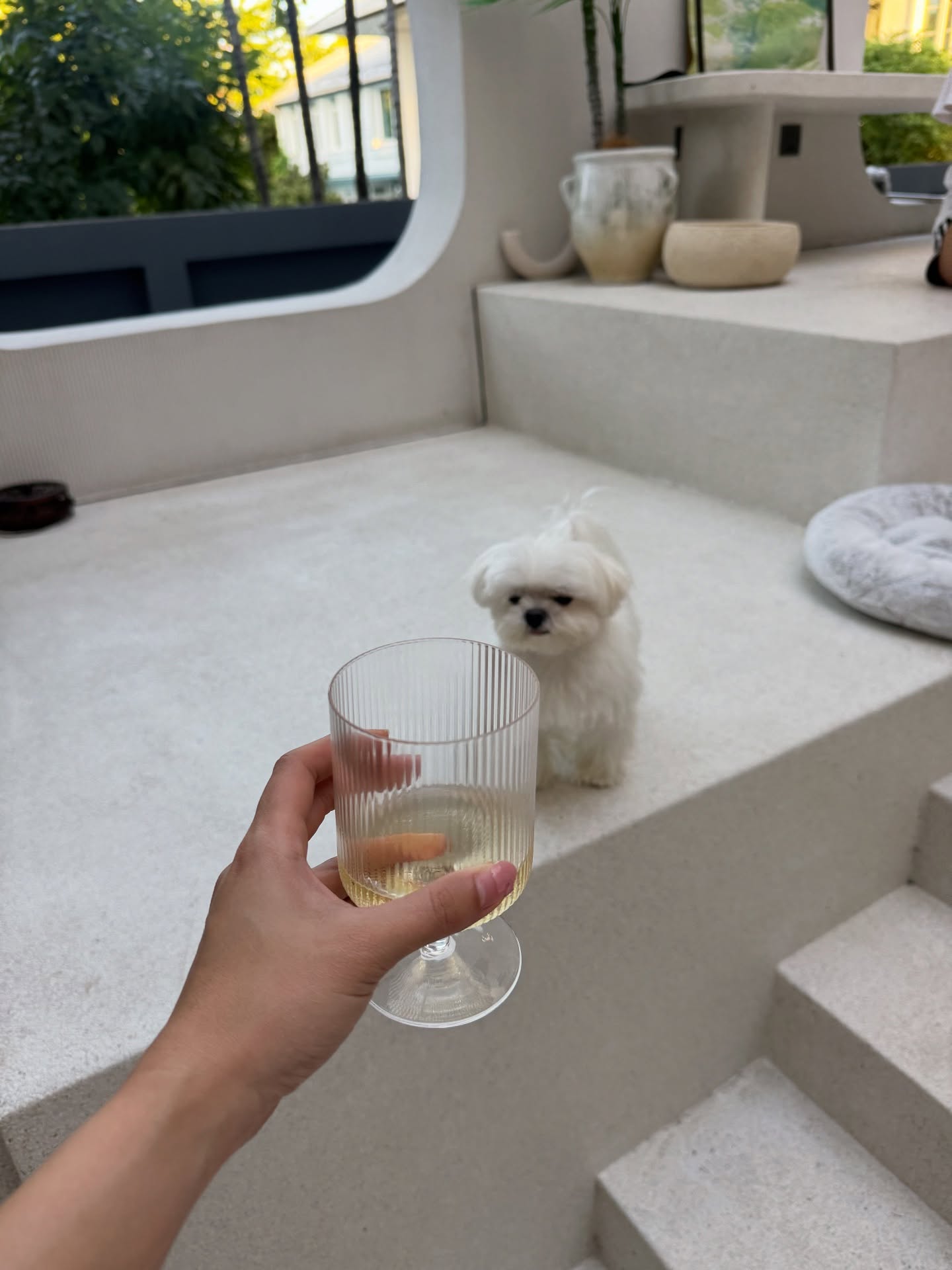 มะปราง - อลิสา ขุนแขวง