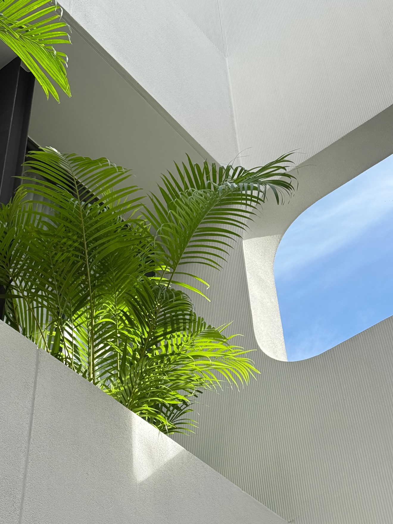 มะปราง - อลิสา ขุนแขวง