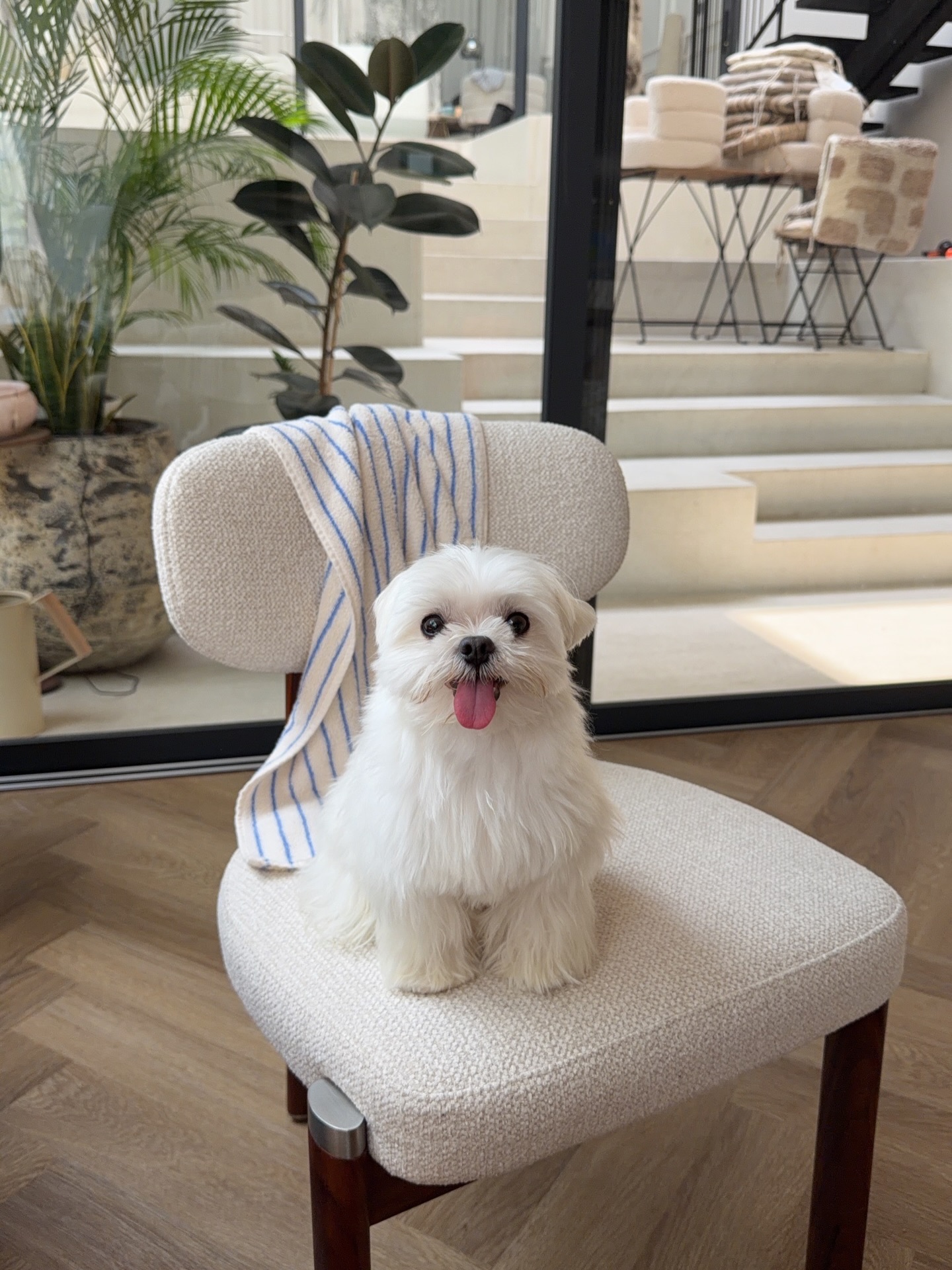 มะปราง - อลิสา ขุนแขวง