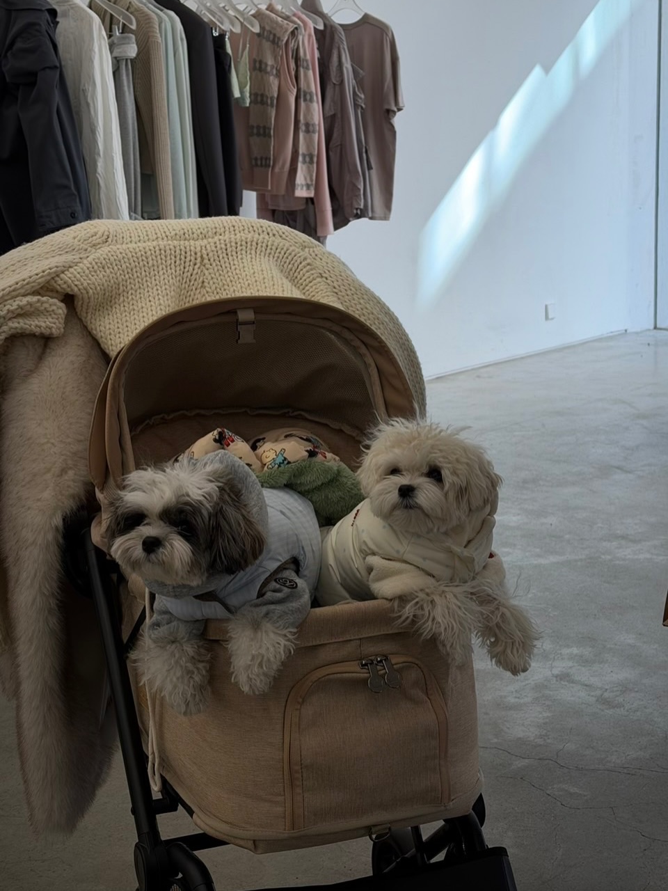 มะปราง - อลิสา ขุนแขวง