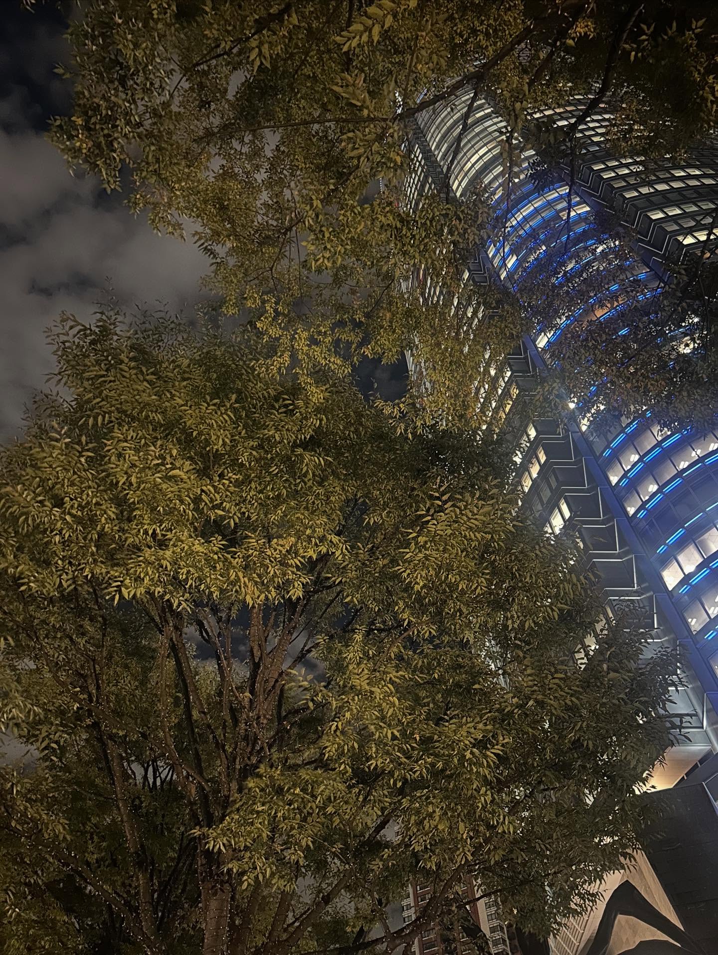 ได๋ - ไดอาน่า จงจินตนาการ