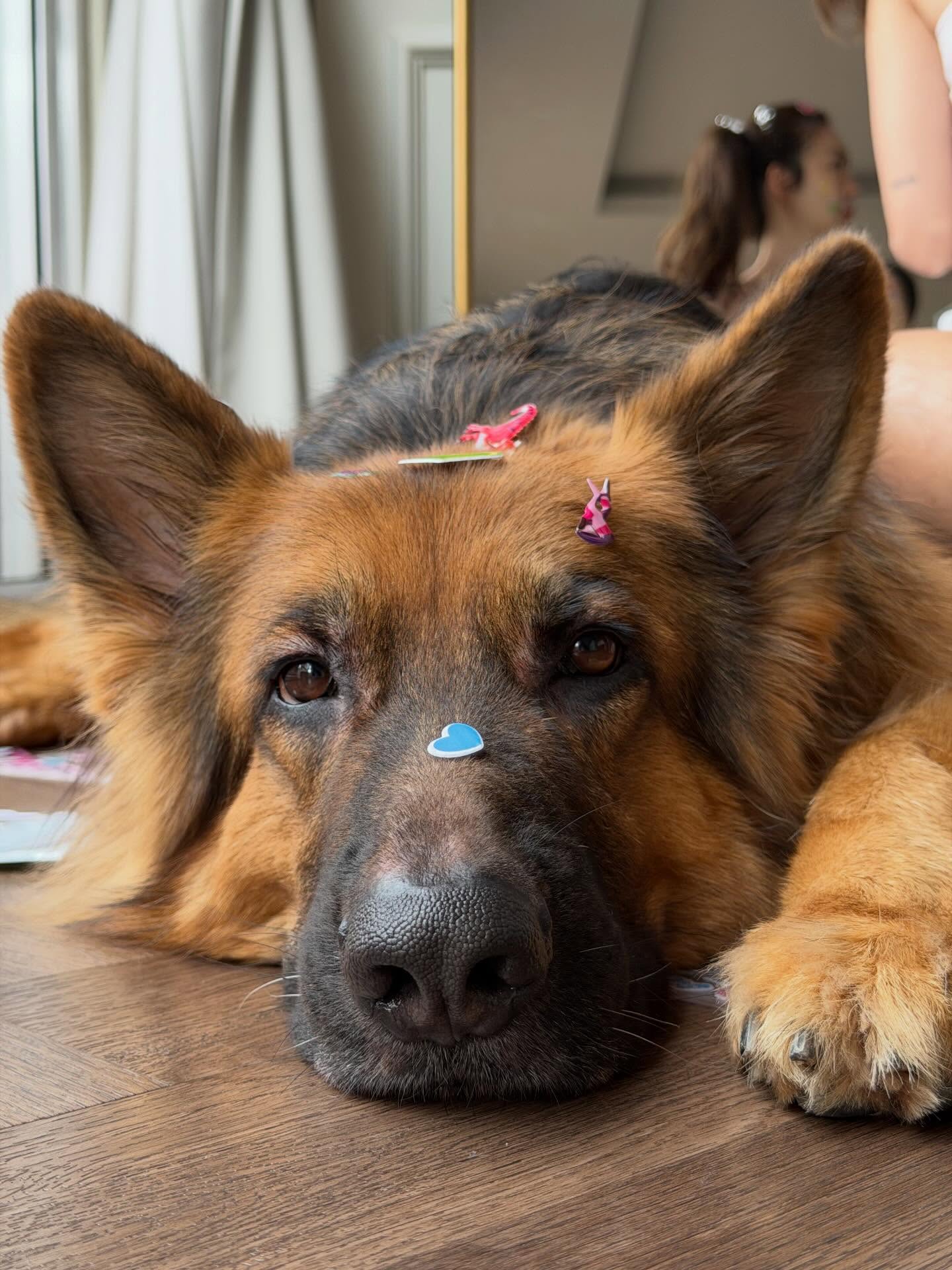 ปุ้มปุ้ย - พรรณทิพา อรุณวัฒนชัย