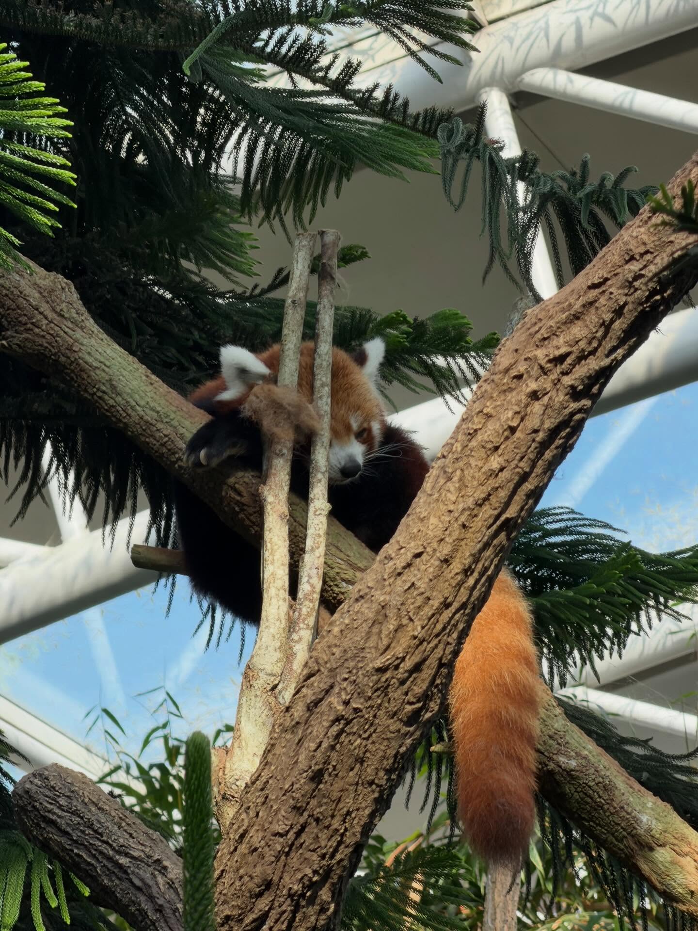 ปุ้มปุ้ย - พรรณทิพา อรุณวัฒนชัย