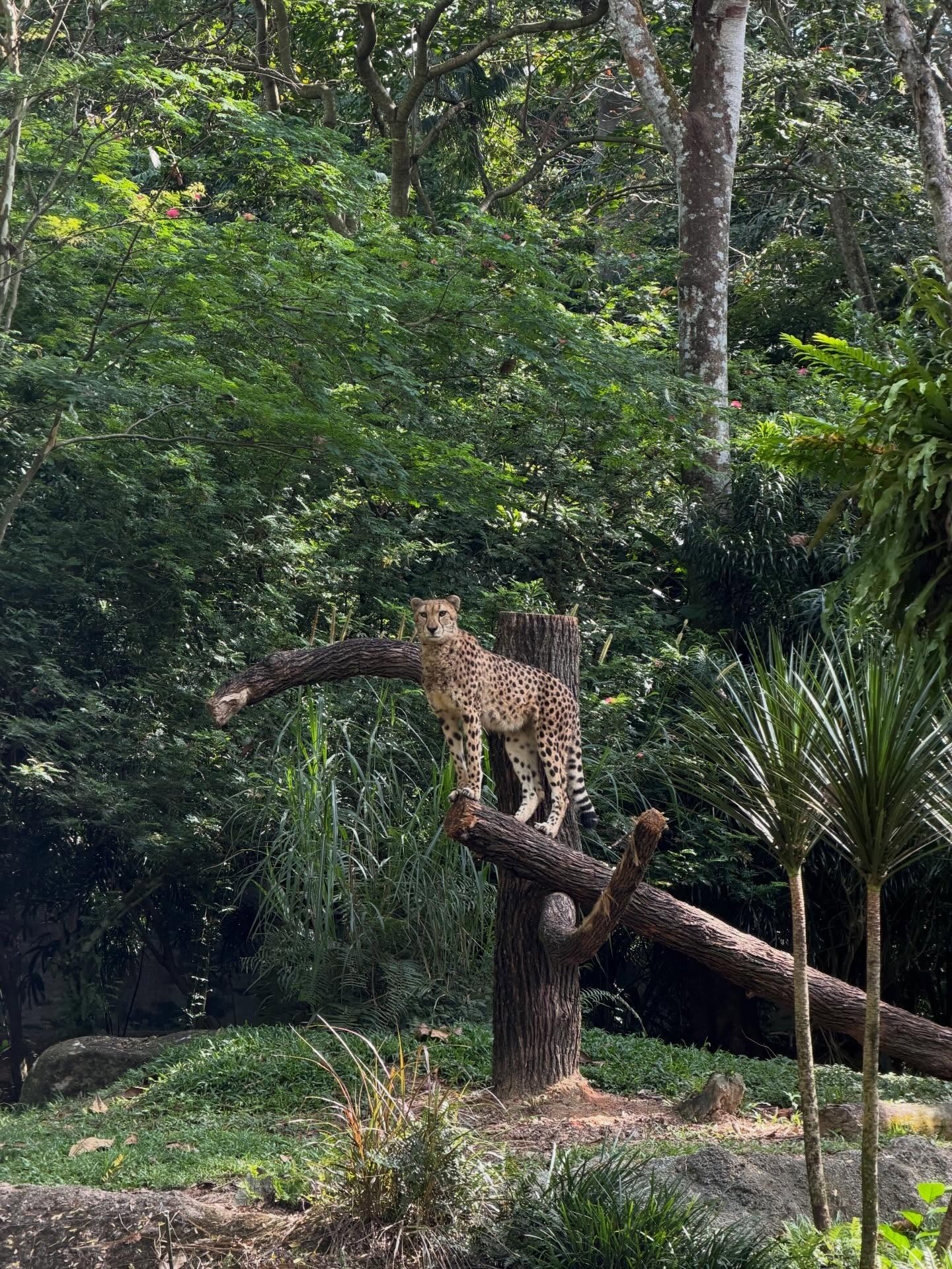 ปุ้มปุ้ย - พรรณทิพา อรุณวัฒนชัย