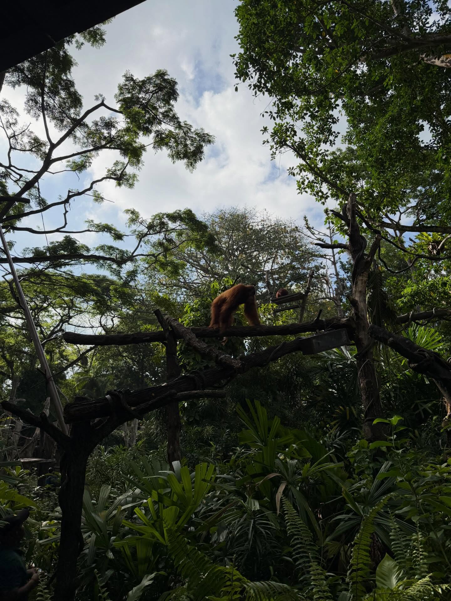 ปุ้มปุ้ย - พรรณทิพา อรุณวัฒนชัย