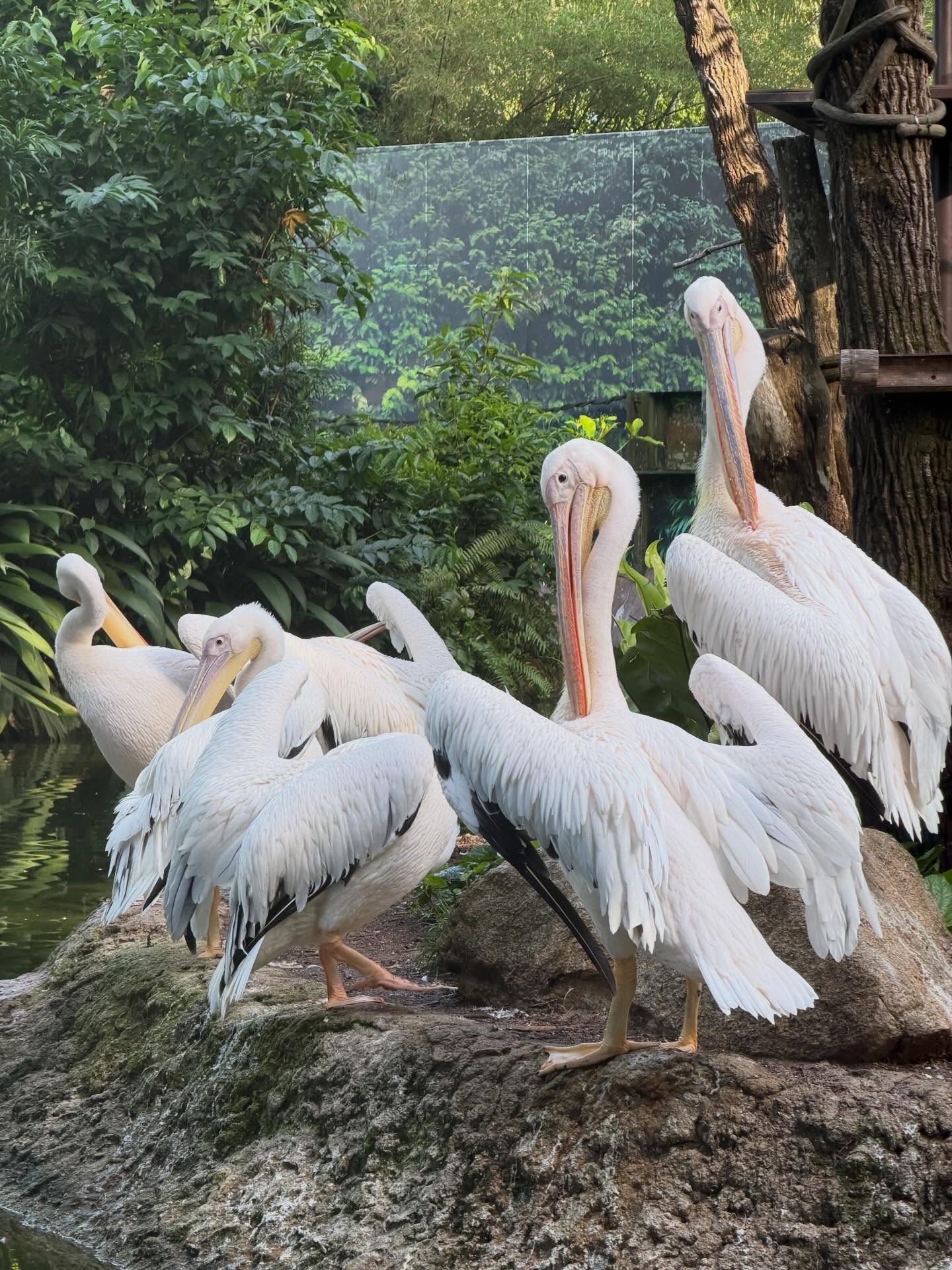 ปุ้มปุ้ย - พรรณทิพา อรุณวัฒนชัย