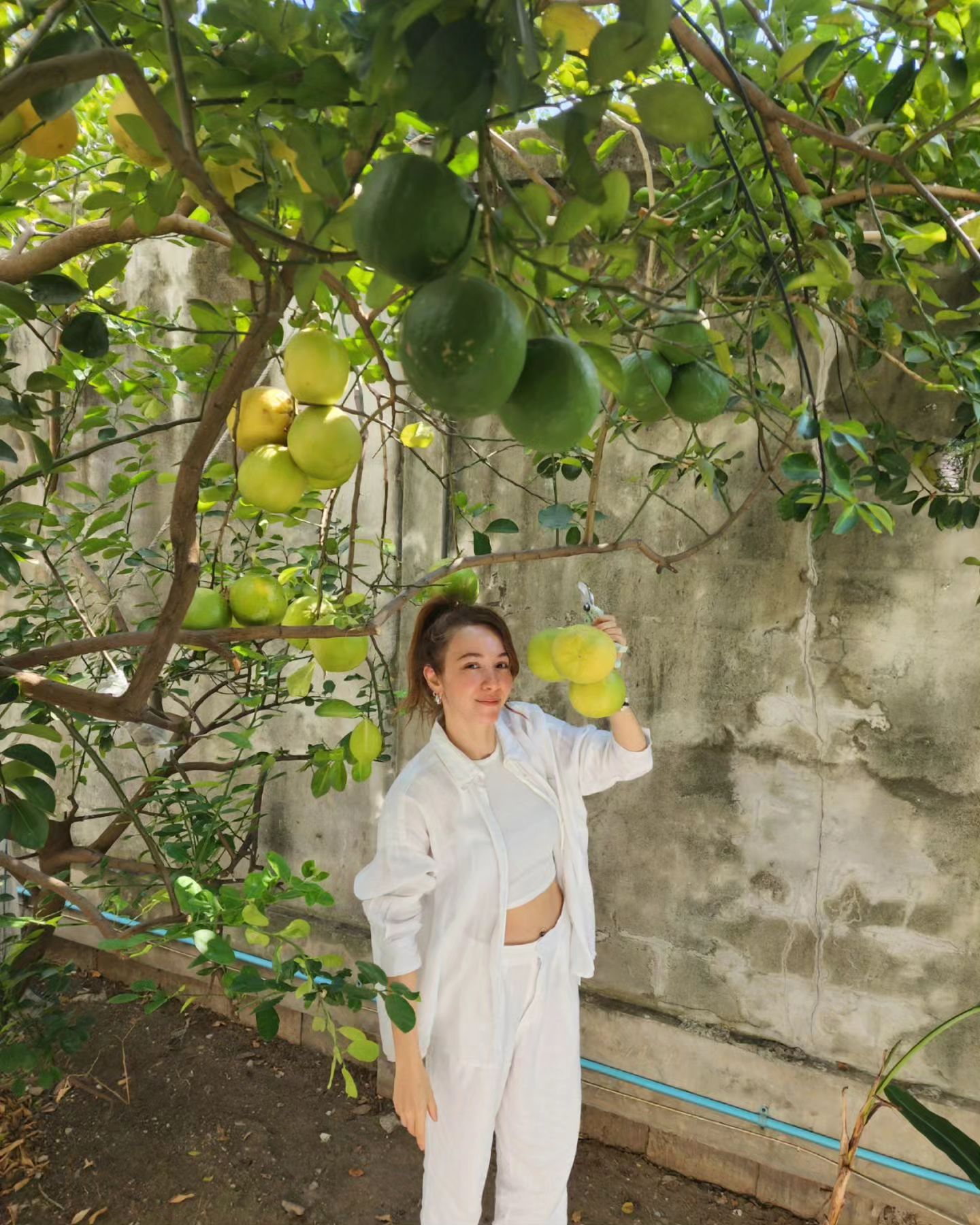 ปาล์มมี่ - อีฟ ปานเจริญ