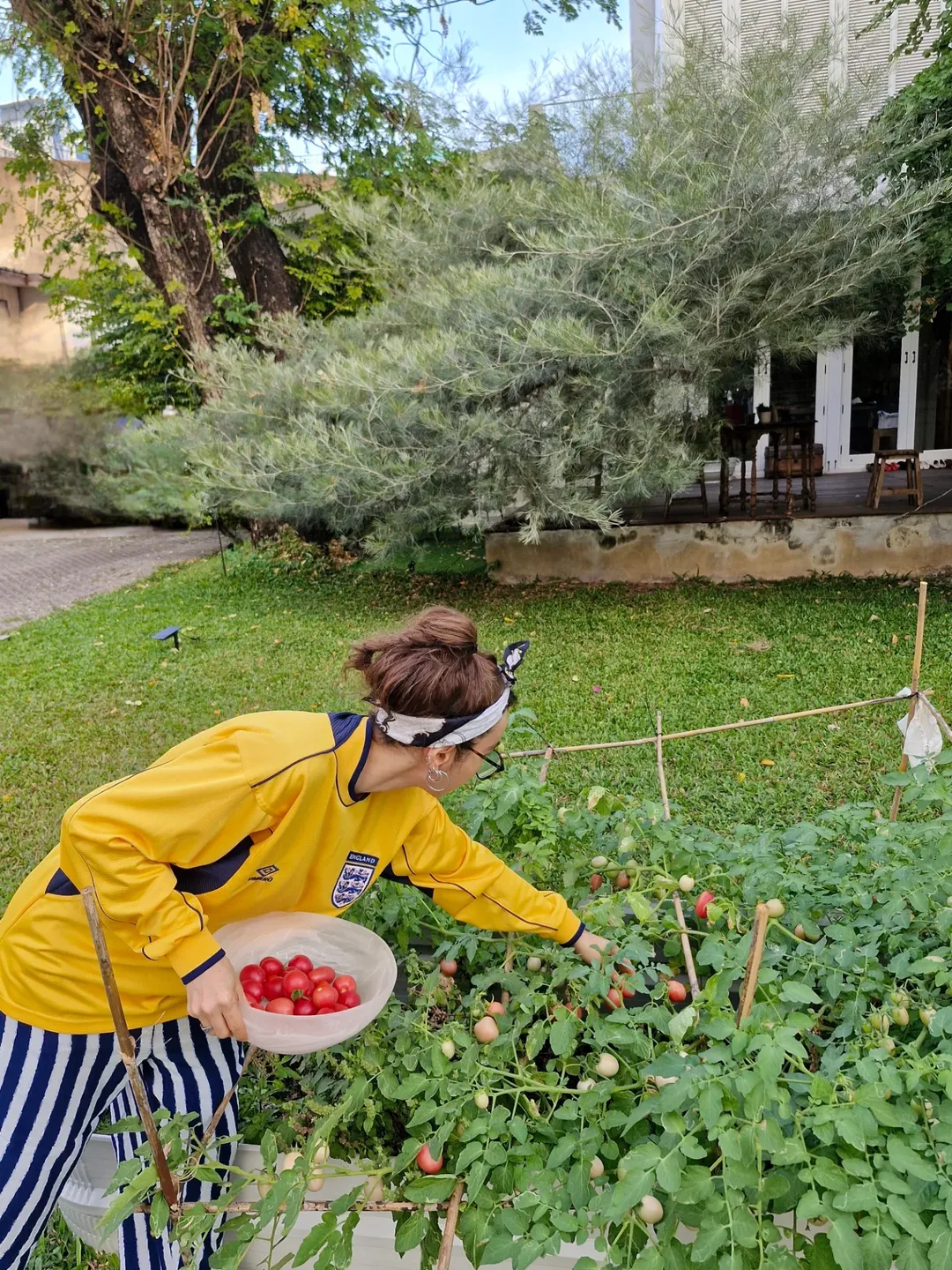 ปาล์มมี่ - อีฟ ปานเจริญ