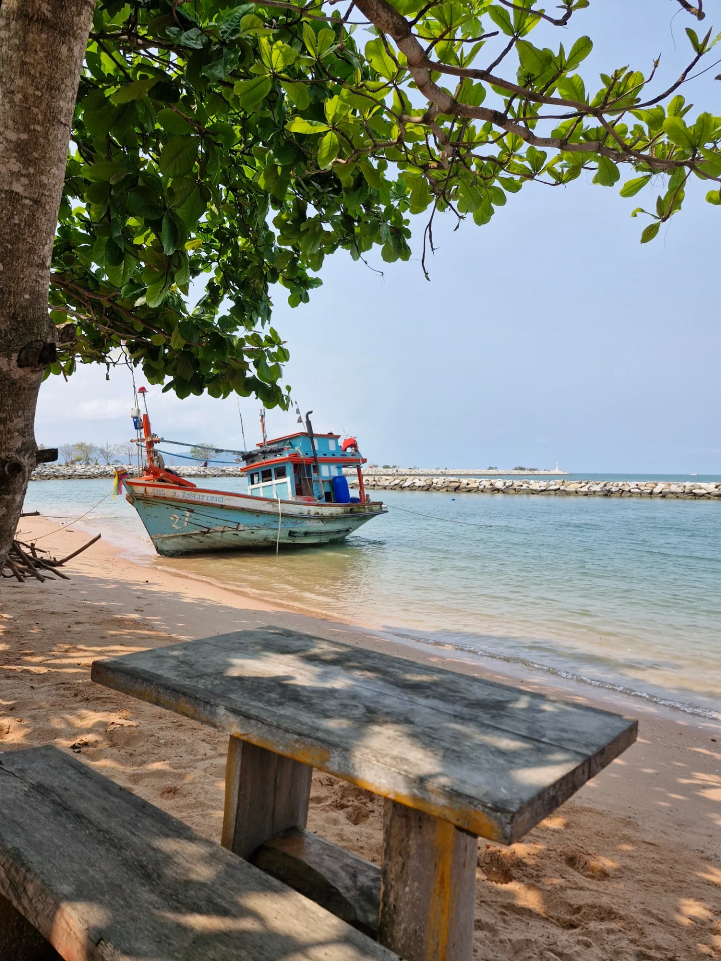 ปาล์มมี่ - อีฟ ปานเจริญ