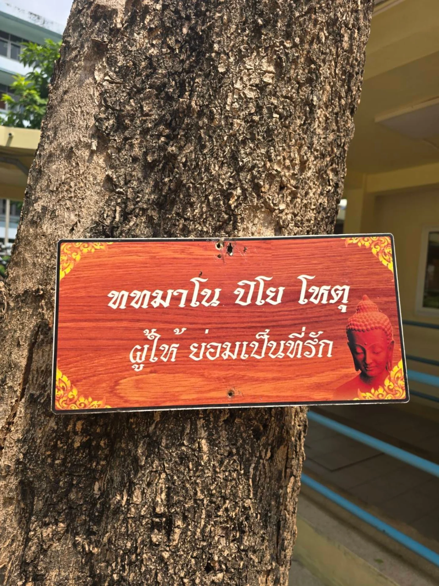 ปาล์มมี่ - อีฟ ปานเจริญ