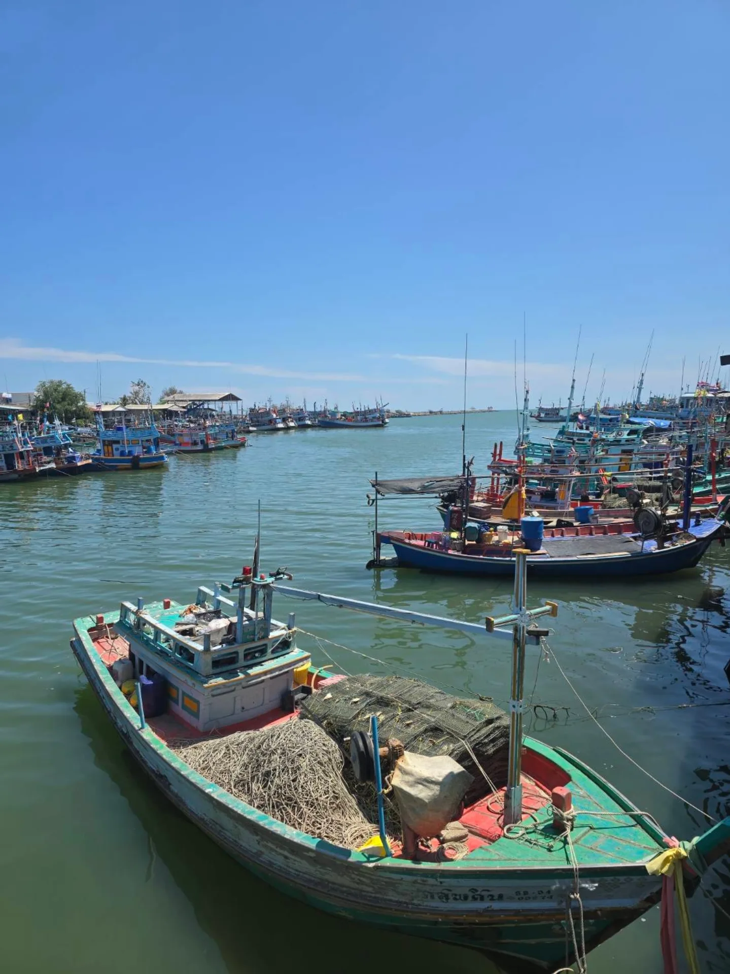 ปาล์มมี่ - อีฟ ปานเจริญ