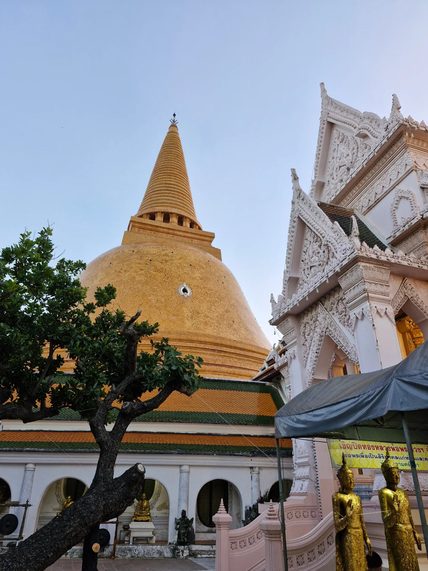 ปาล์มมี่ - อีฟ ปานเจริญ