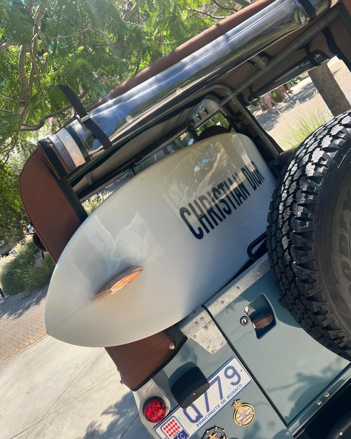 กวาง - วรรณปิยะ ออมสินนพกุล