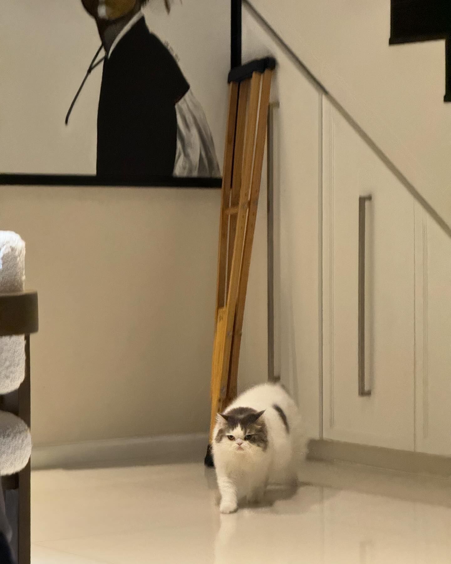 กวาง - วรรณปิยะ ออมสินนพกุล