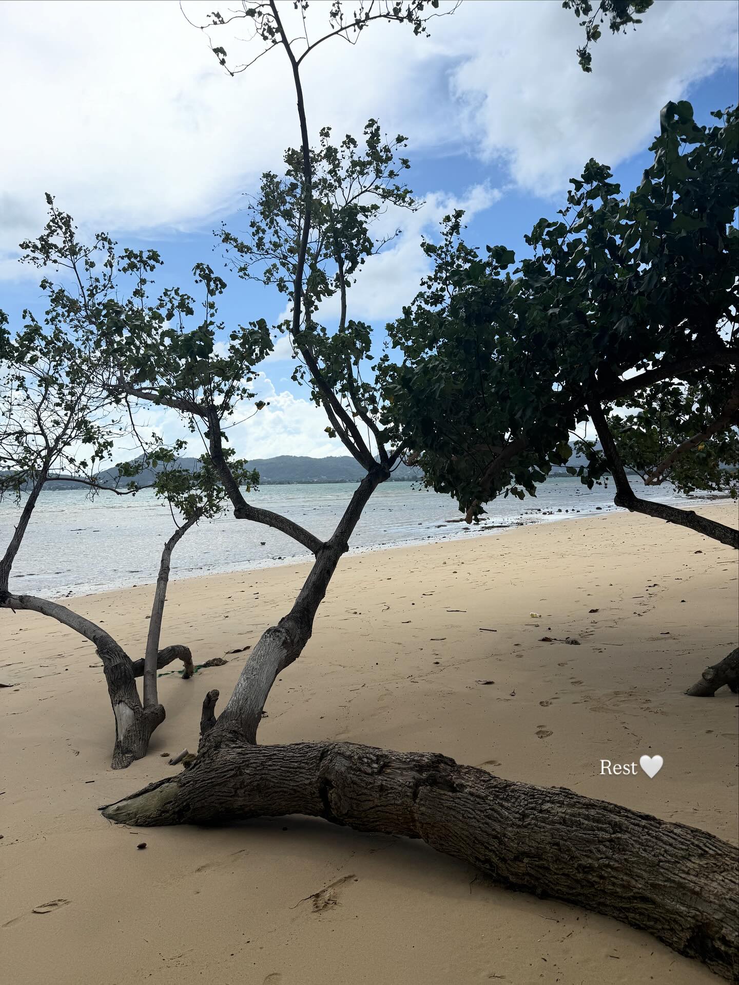 กวาง - วรรณปิยะ ออมสินนพกุล