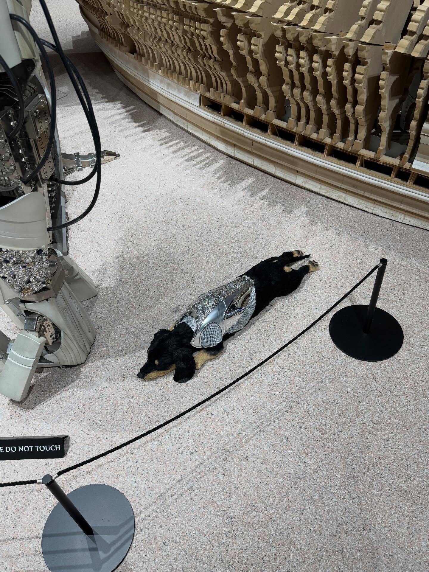 กวาง - วรรณปิยะ ออมสินนพกุล