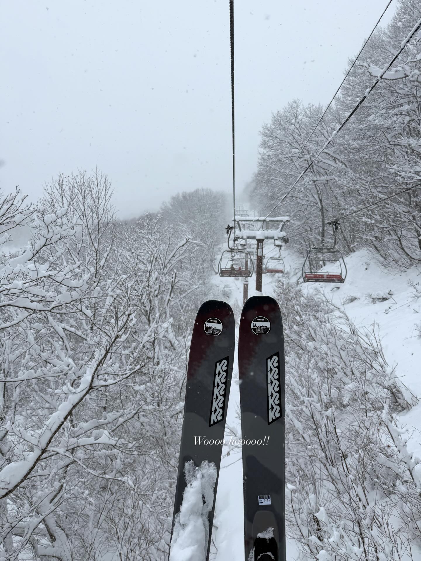 กวาง - วรรณปิยะ ออมสินนพกุล