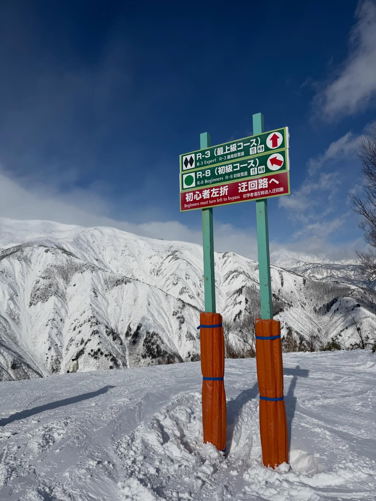 กวาง - วรรณปิยะ ออมสินนพกุล