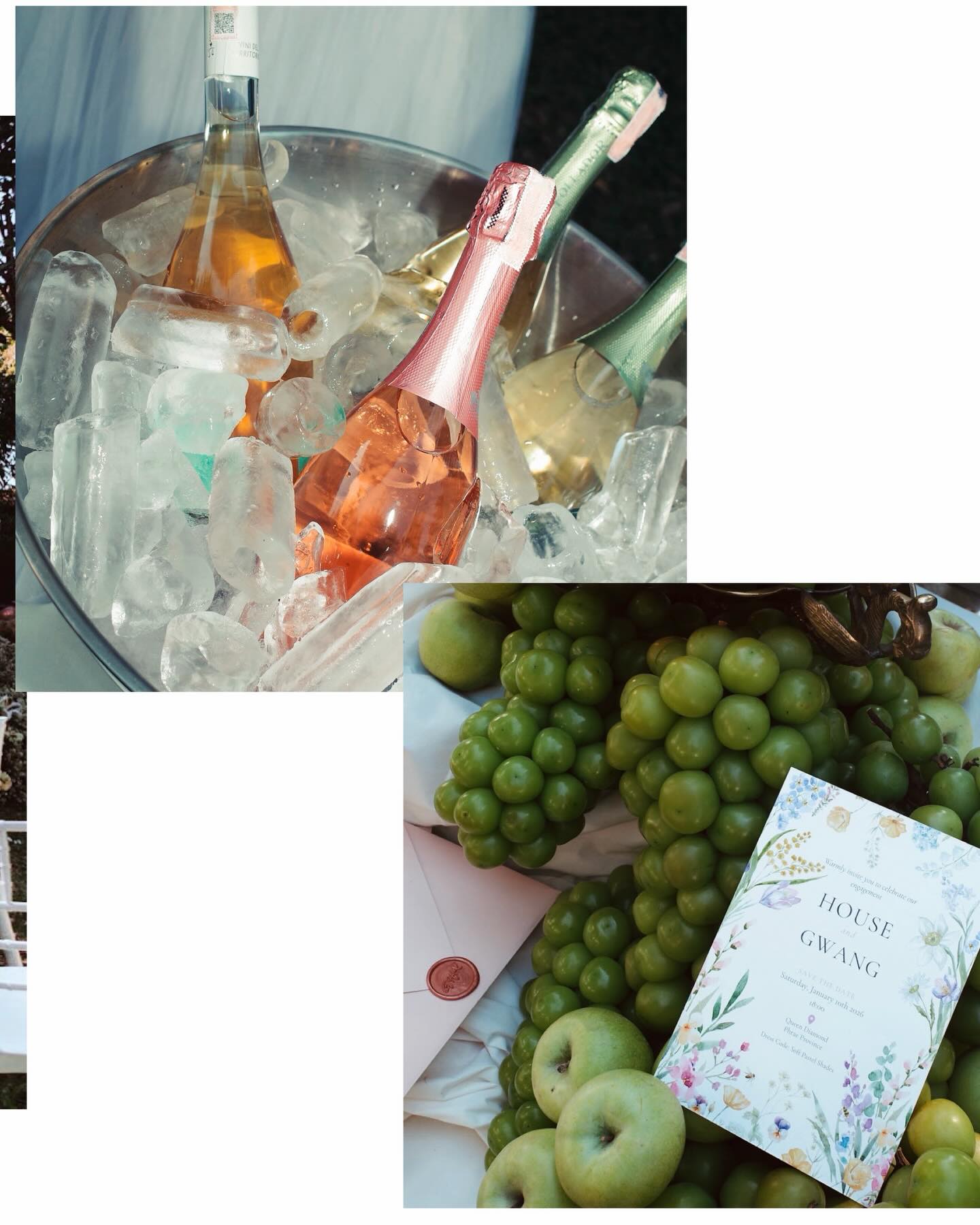 กวาง - วรรณปิยะ ออมสินนพกุล