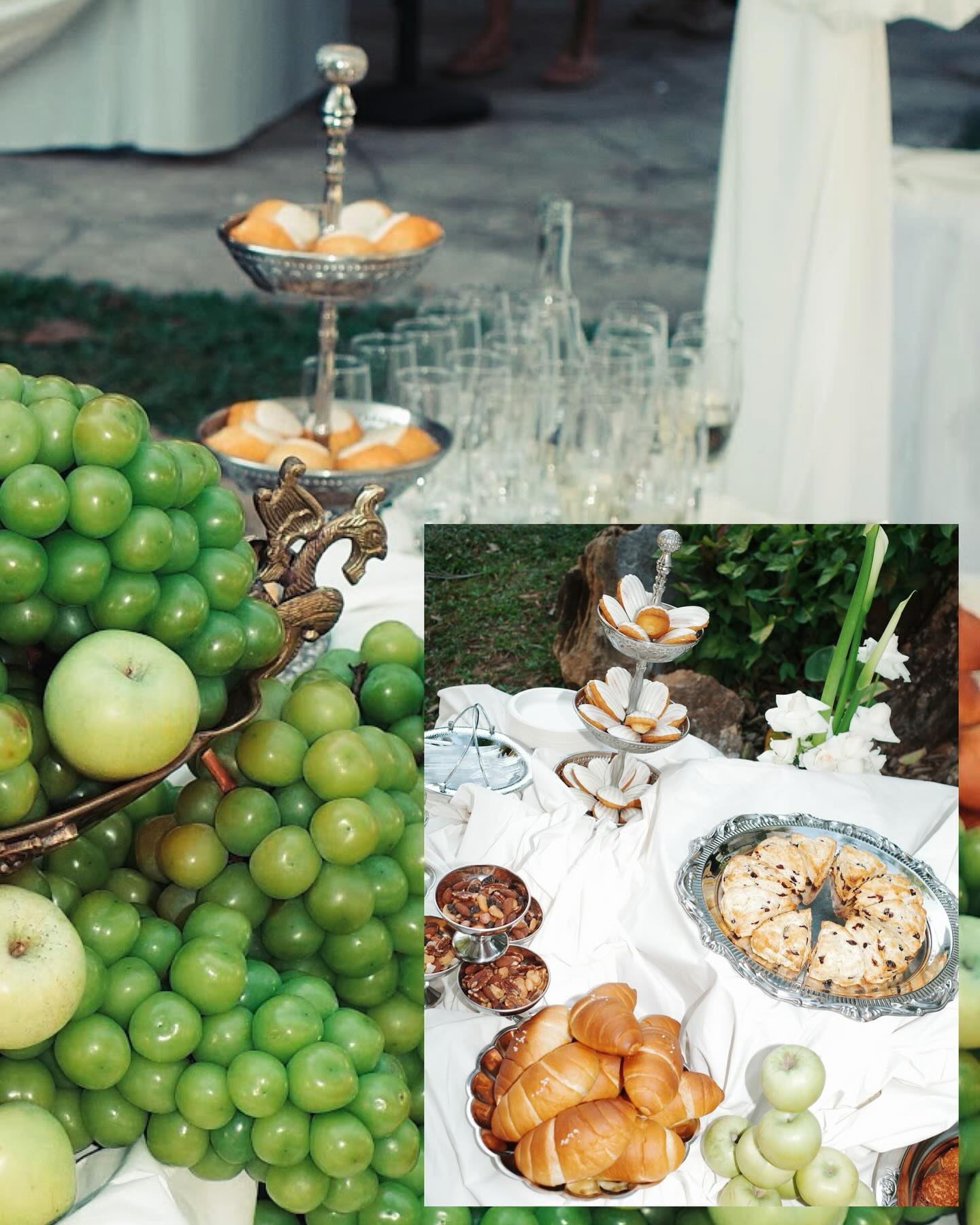 กวาง - วรรณปิยะ ออมสินนพกุล