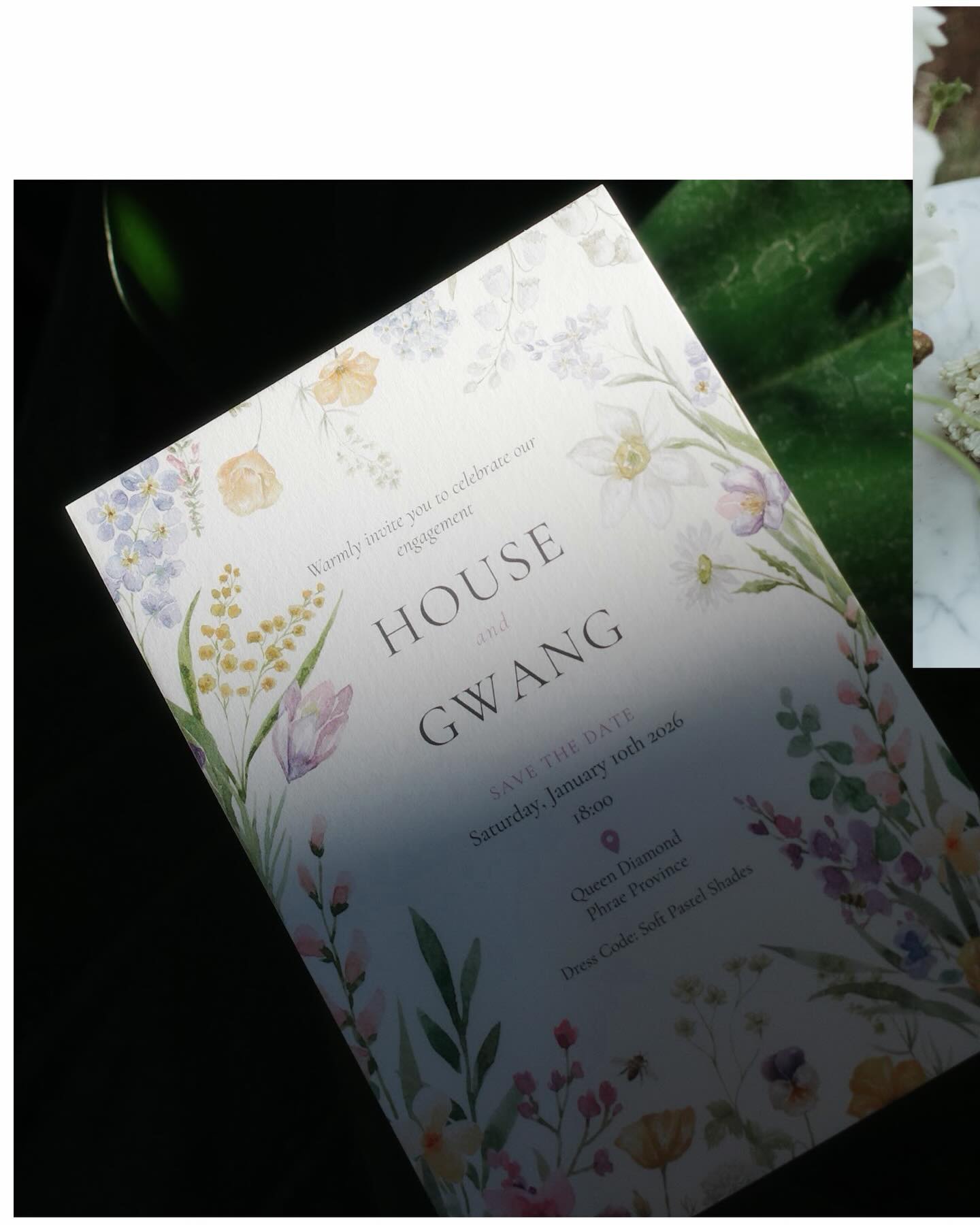 กวาง - วรรณปิยะ ออมสินนพกุล