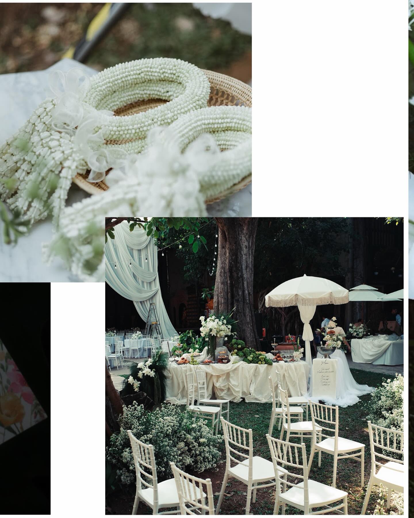 กวาง - วรรณปิยะ ออมสินนพกุล