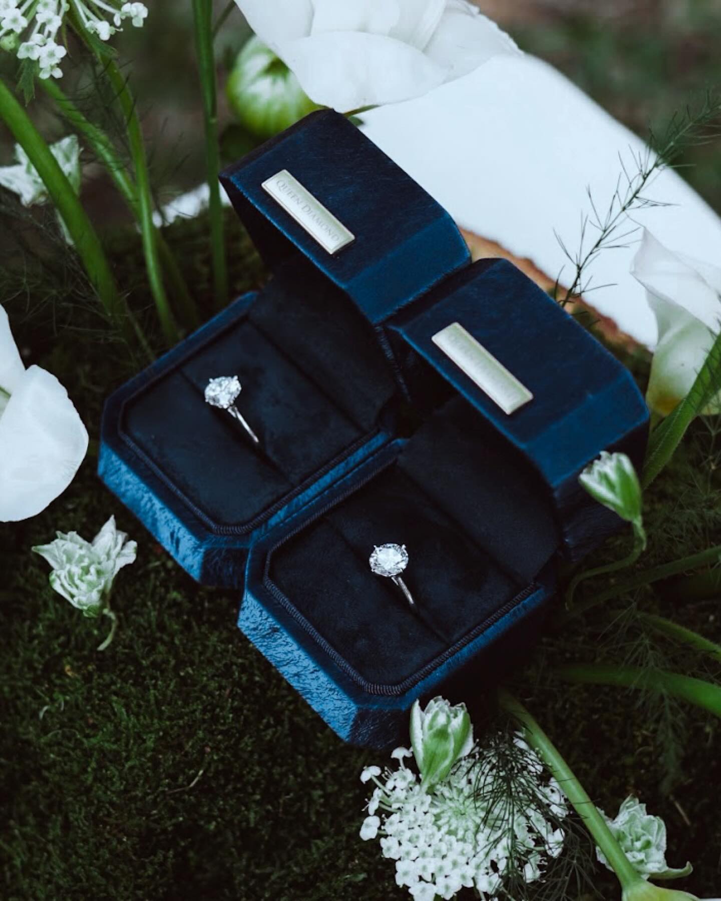 กวาง - วรรณปิยะ ออมสินนพกุล