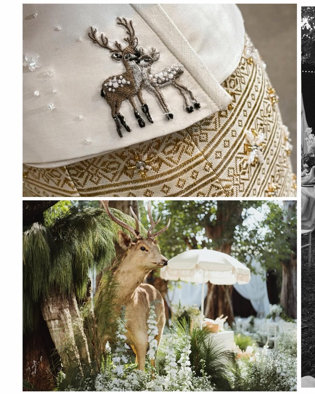 กวาง - วรรณปิยะ ออมสินนพกุล