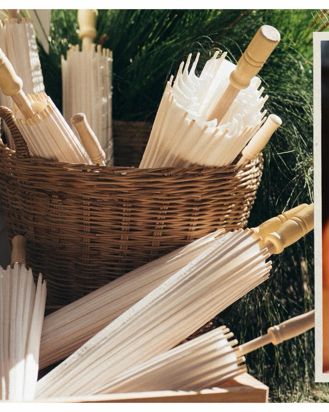 กวาง - วรรณปิยะ ออมสินนพกุล