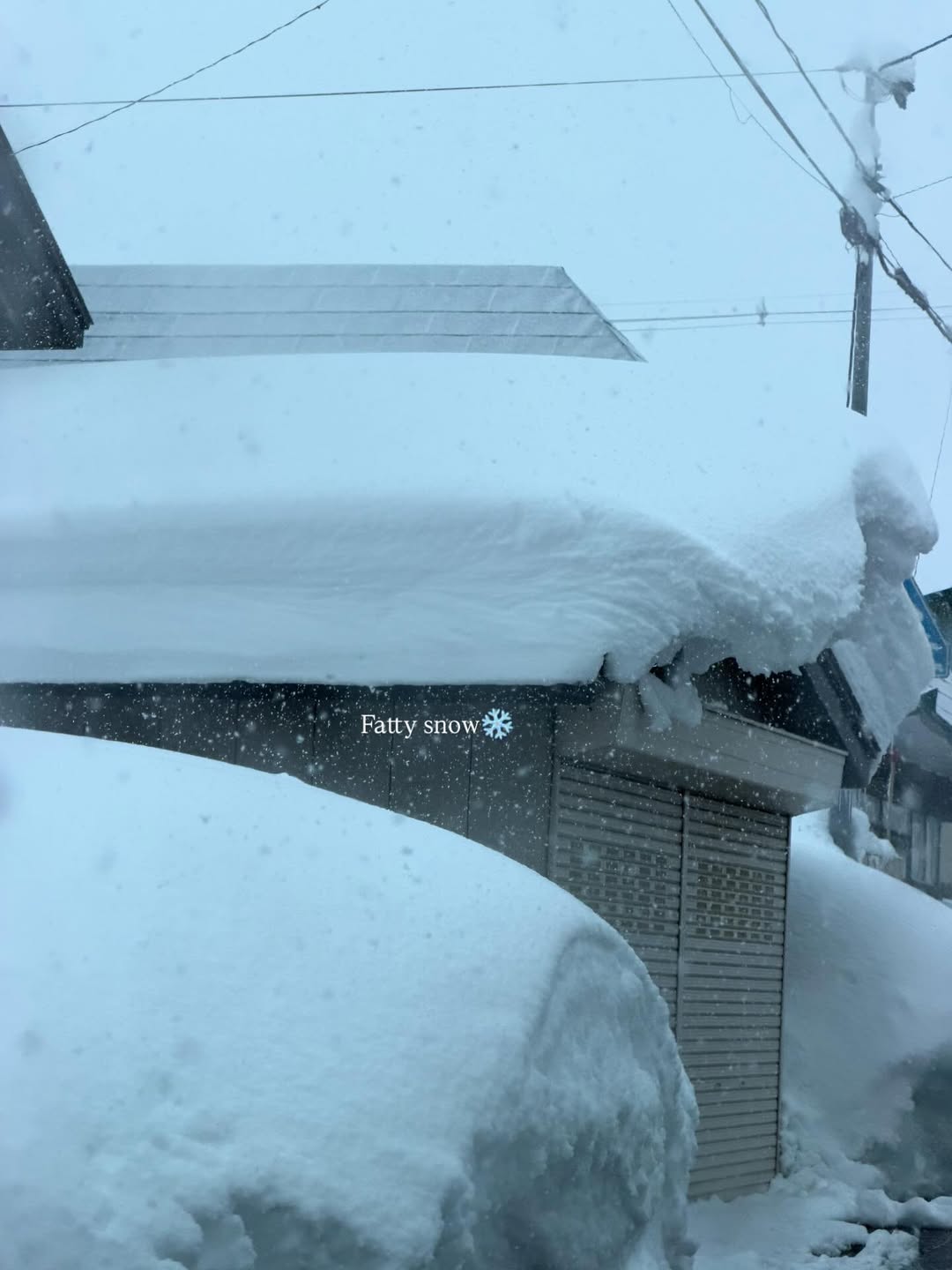 กวาง - วรรณปิยะ ออมสินนพกุล