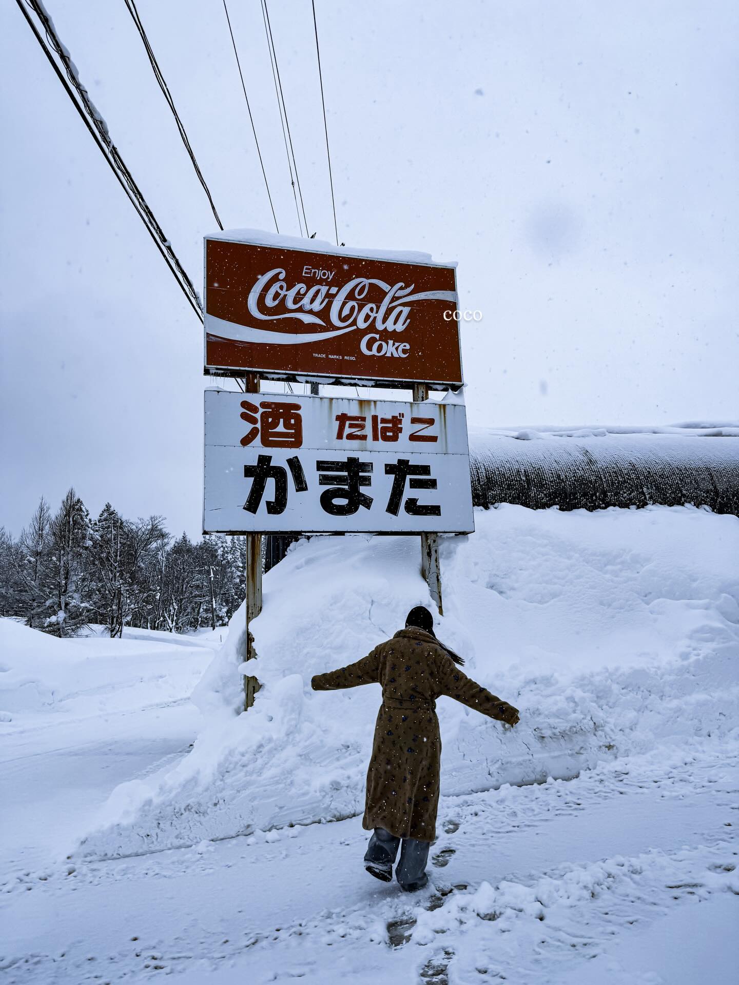กวาง - วรรณปิยะ ออมสินนพกุล
