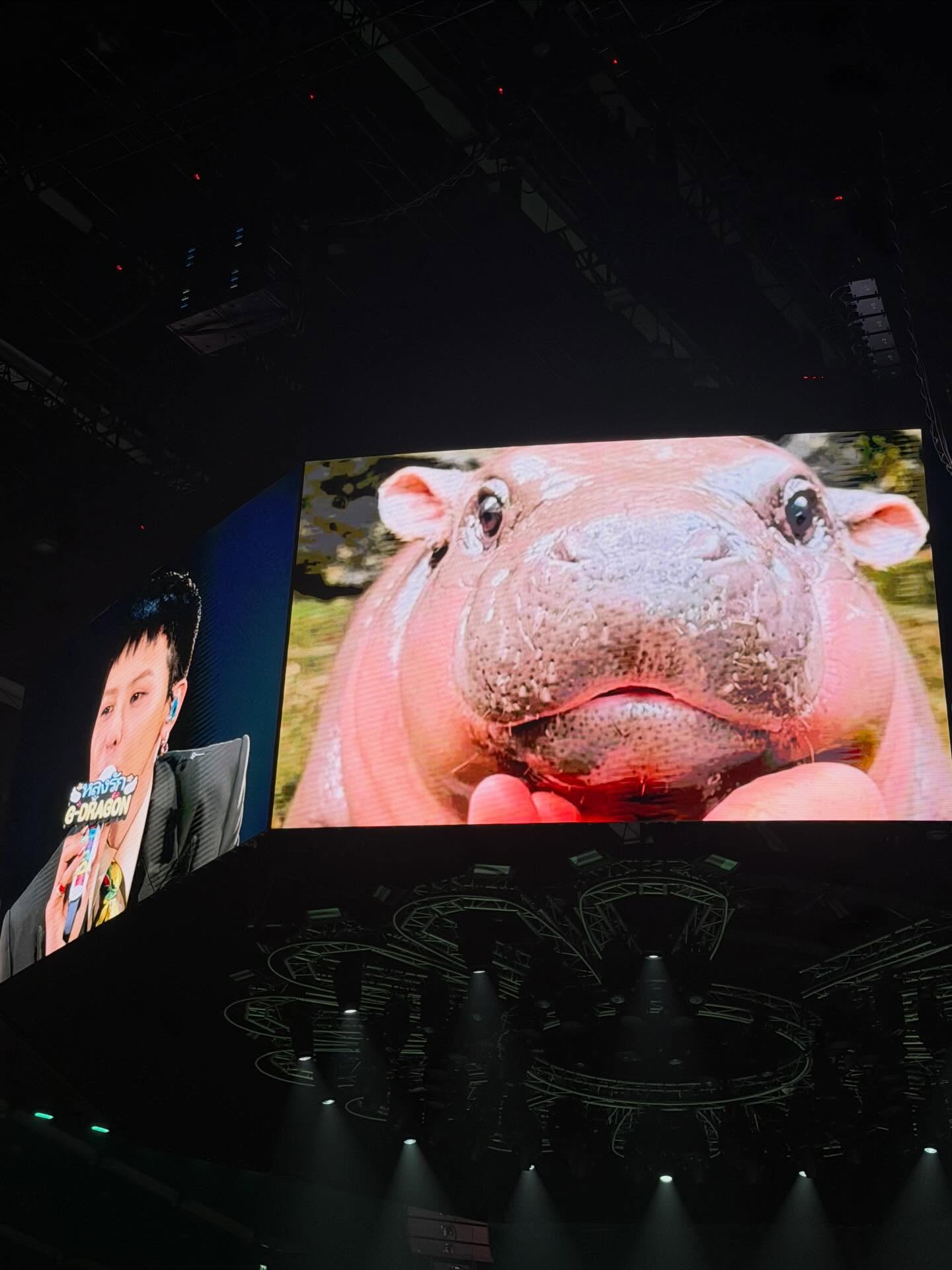 กวาง - วรรณปิยะ ออมสินนพกุล