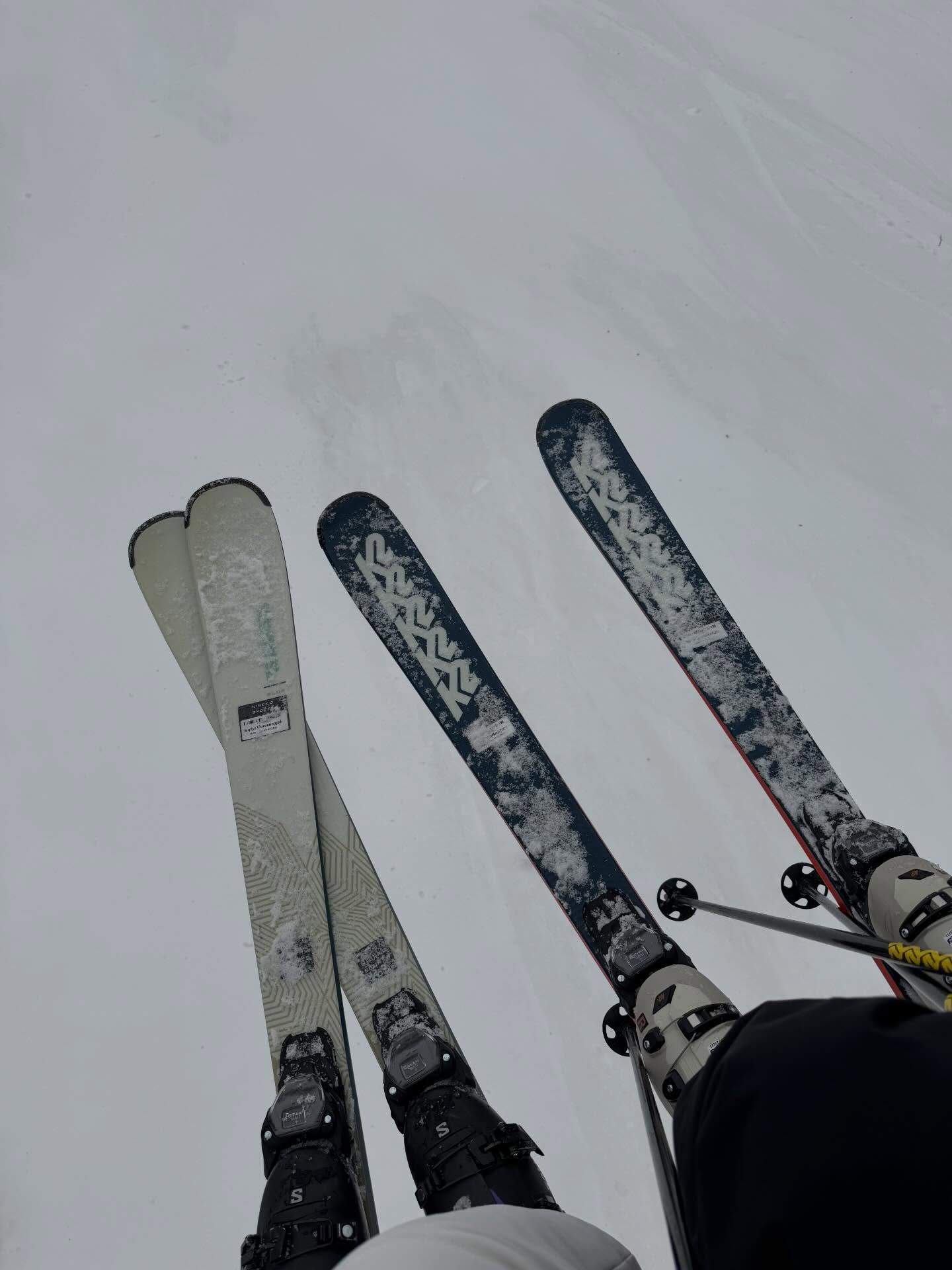 กวาง - วรรณปิยะ ออมสินนพกุล