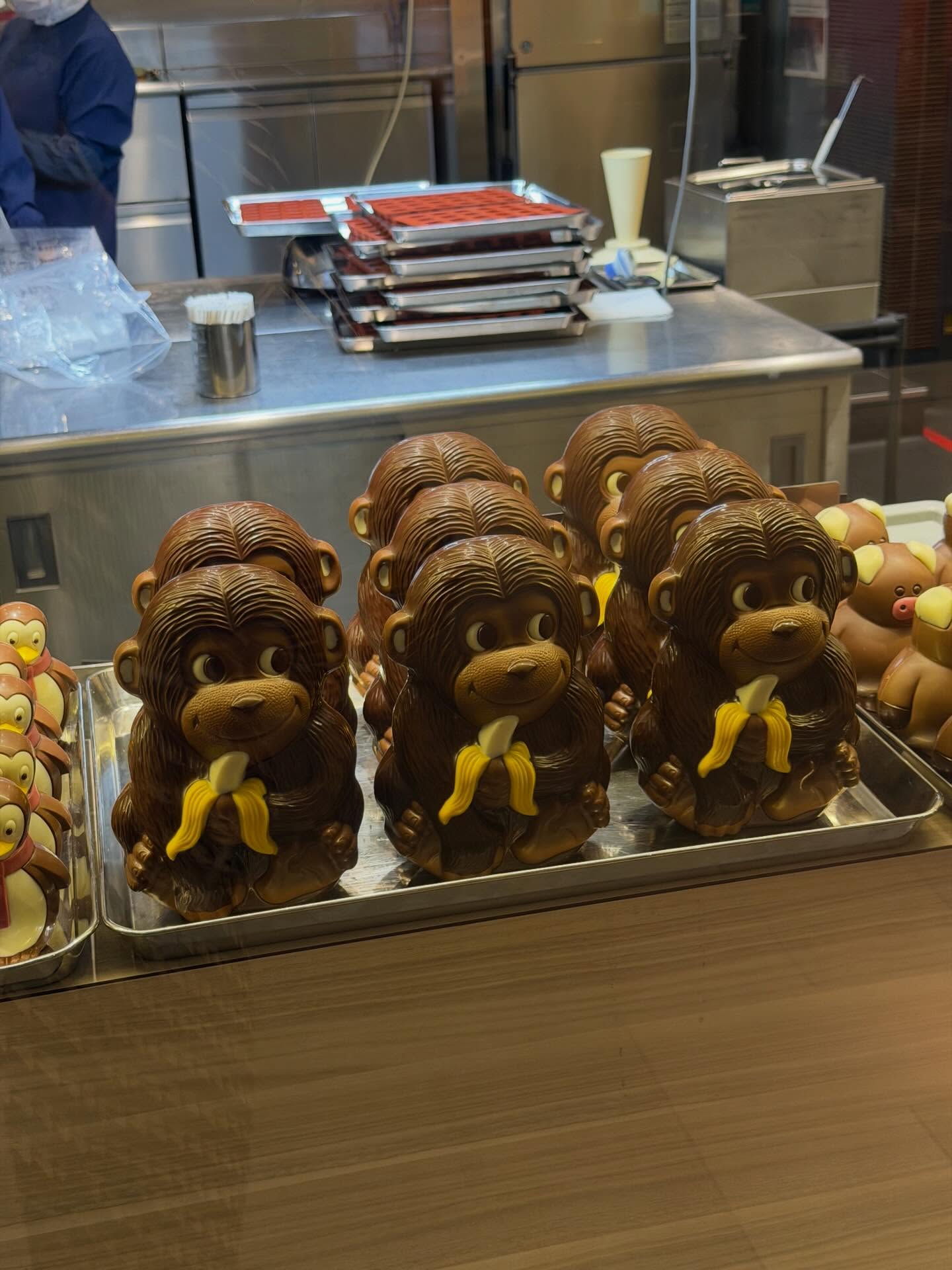 กวาง - วรรณปิยะ ออมสินนพกุล