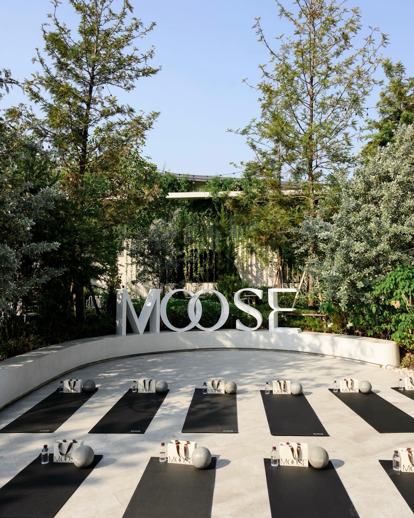 กวาง - วรรณปิยะ ออมสินนพกุล